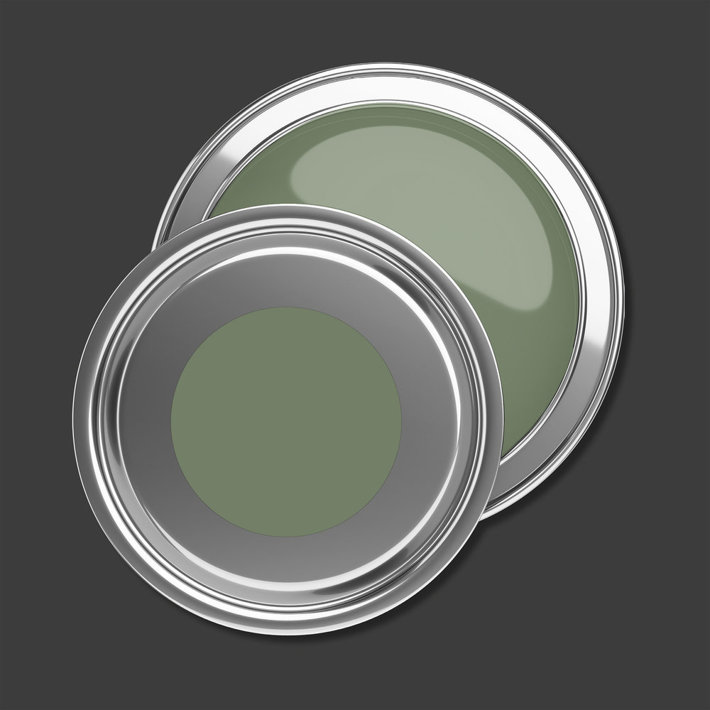 AS Premium Innenwandfarbe Puro c5004 sage green 1 L