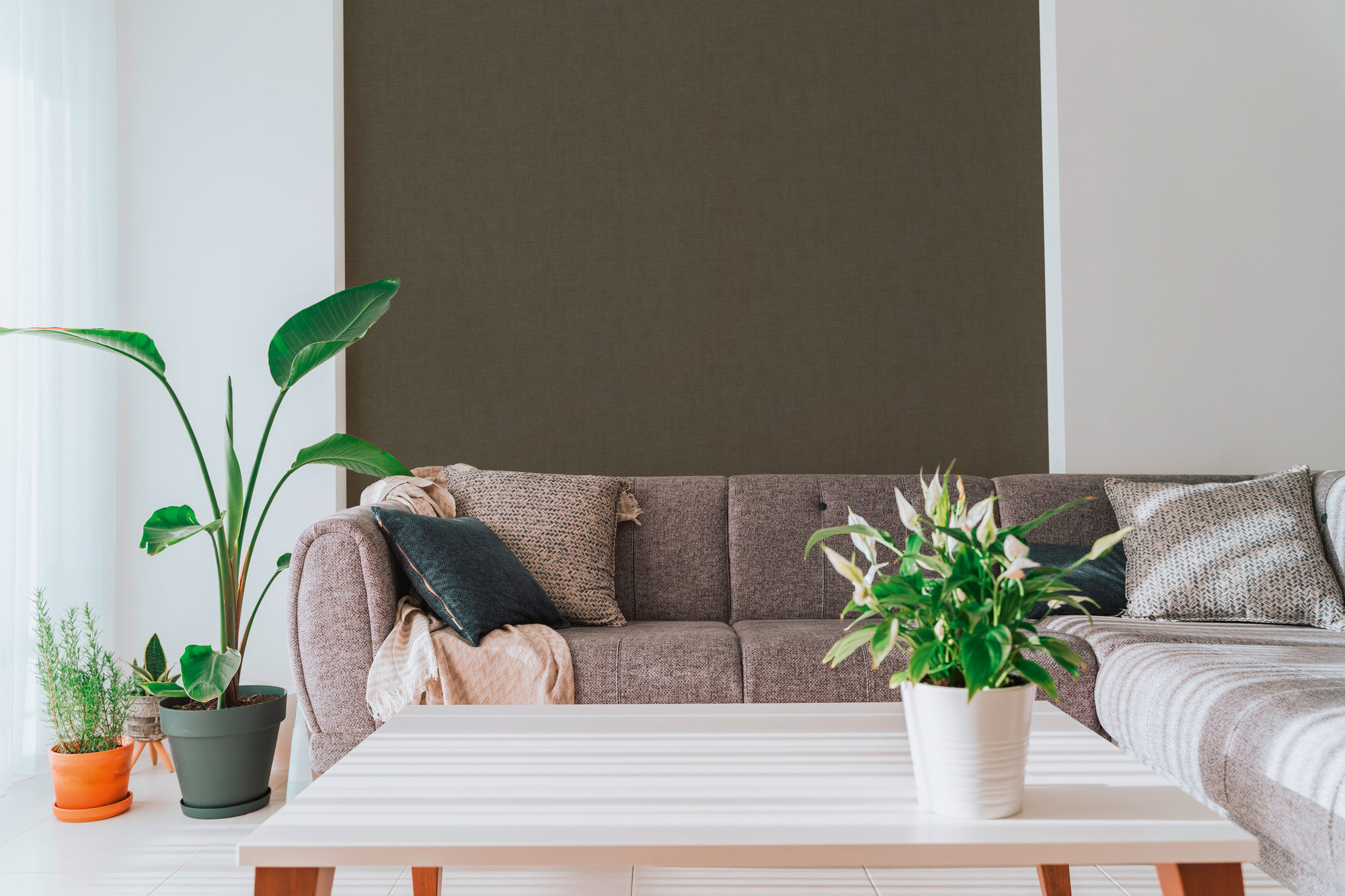 AS Vliestapete PintWalls 3 Unitapete Schwarz 791664