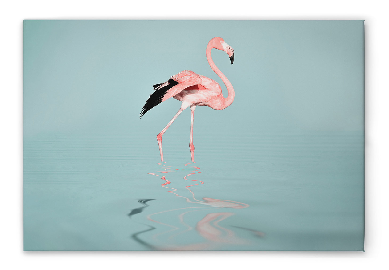 AS Leinwandbild Flamingo Water DD132173