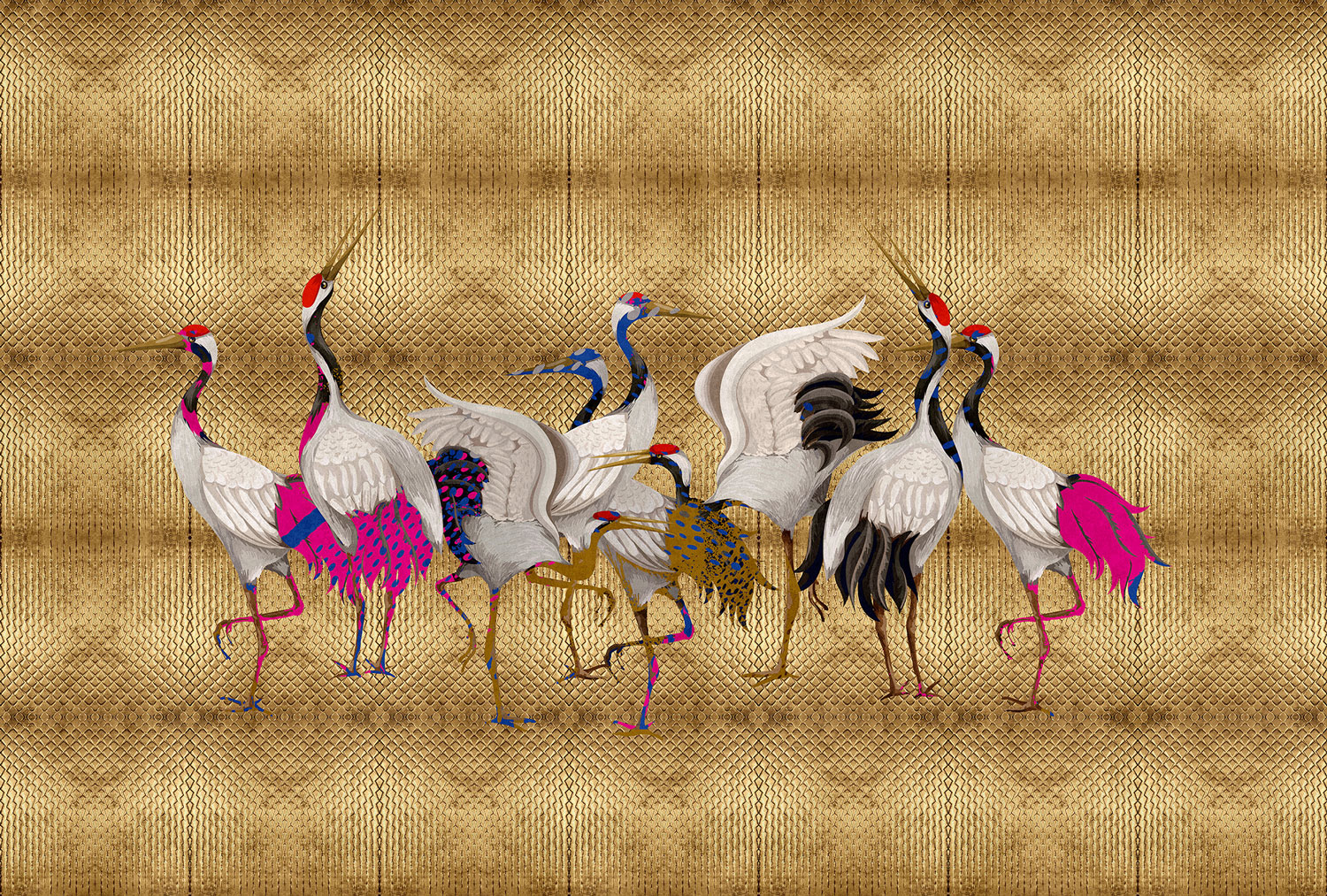 AS Fototapete Walls by Patel 3 Vögel DD122988