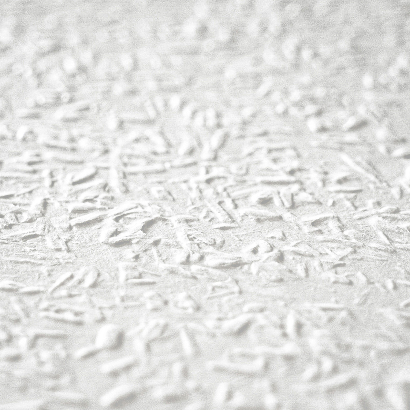 AS Vliestapete Meistervlies 8 überstreichbar 141514