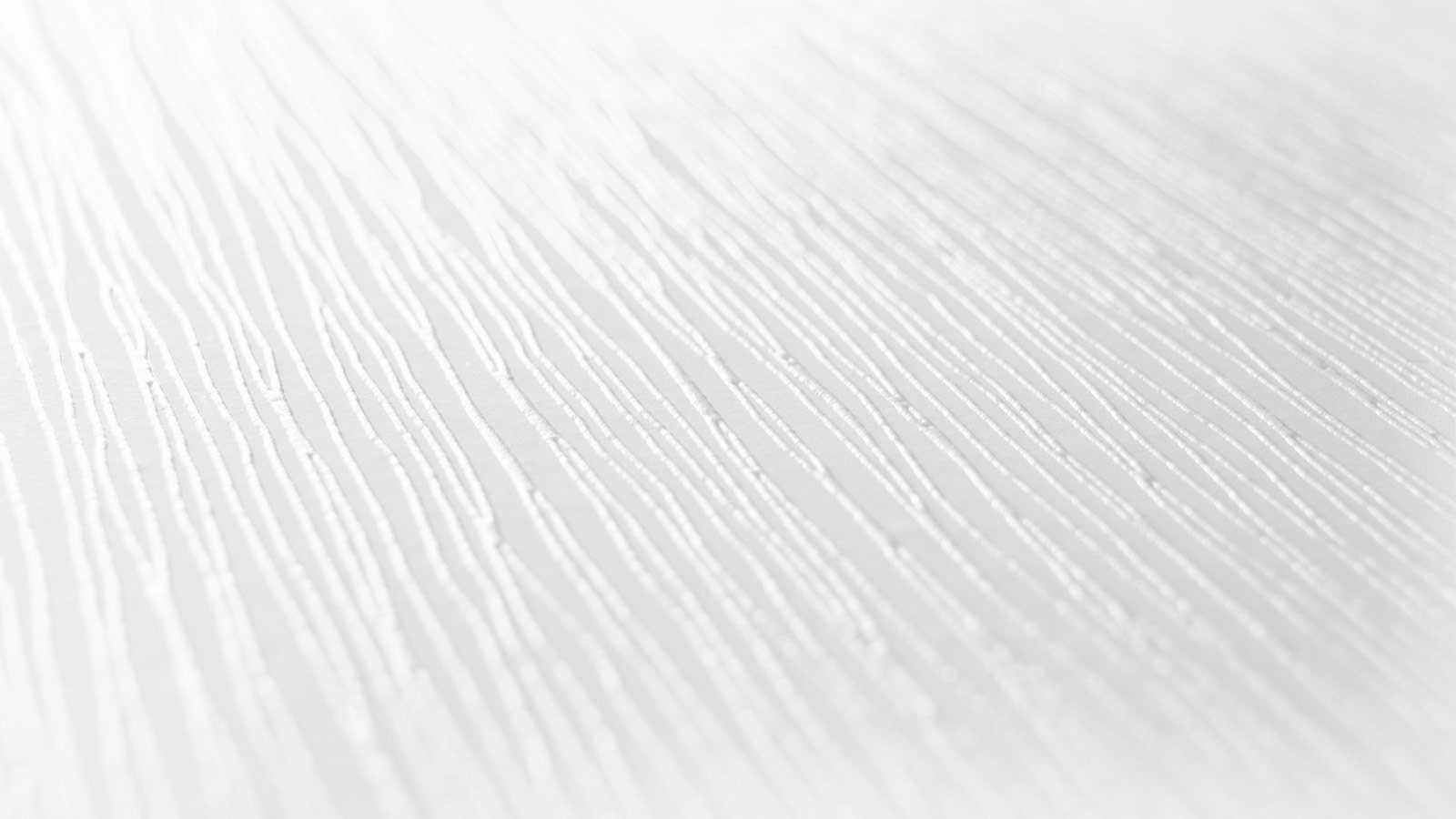 AS Vliestapete Meistervlies 8 überstreichbar 248619