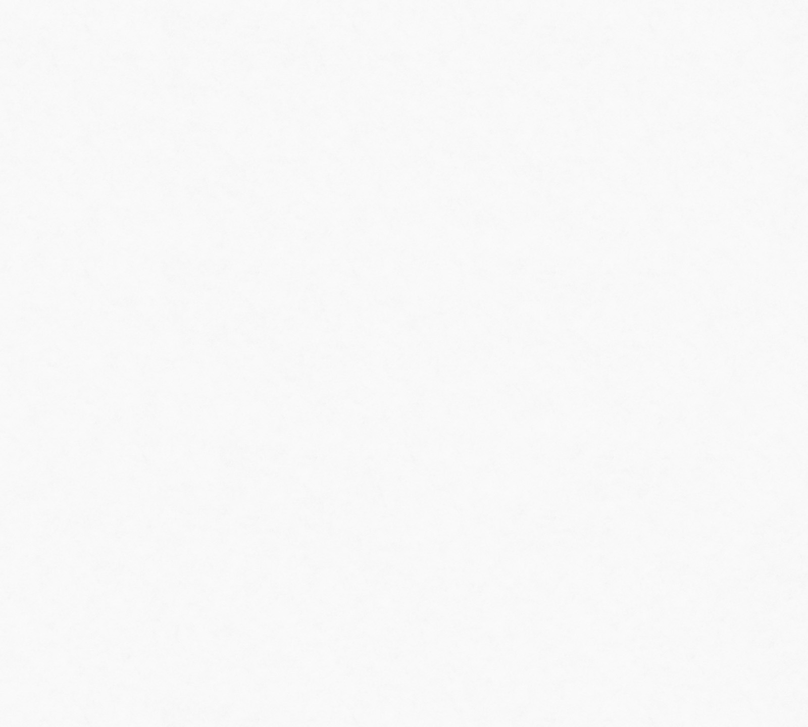 AS Glattvlies Meistervlies 8 überstreichbar 953131 0,75x25m