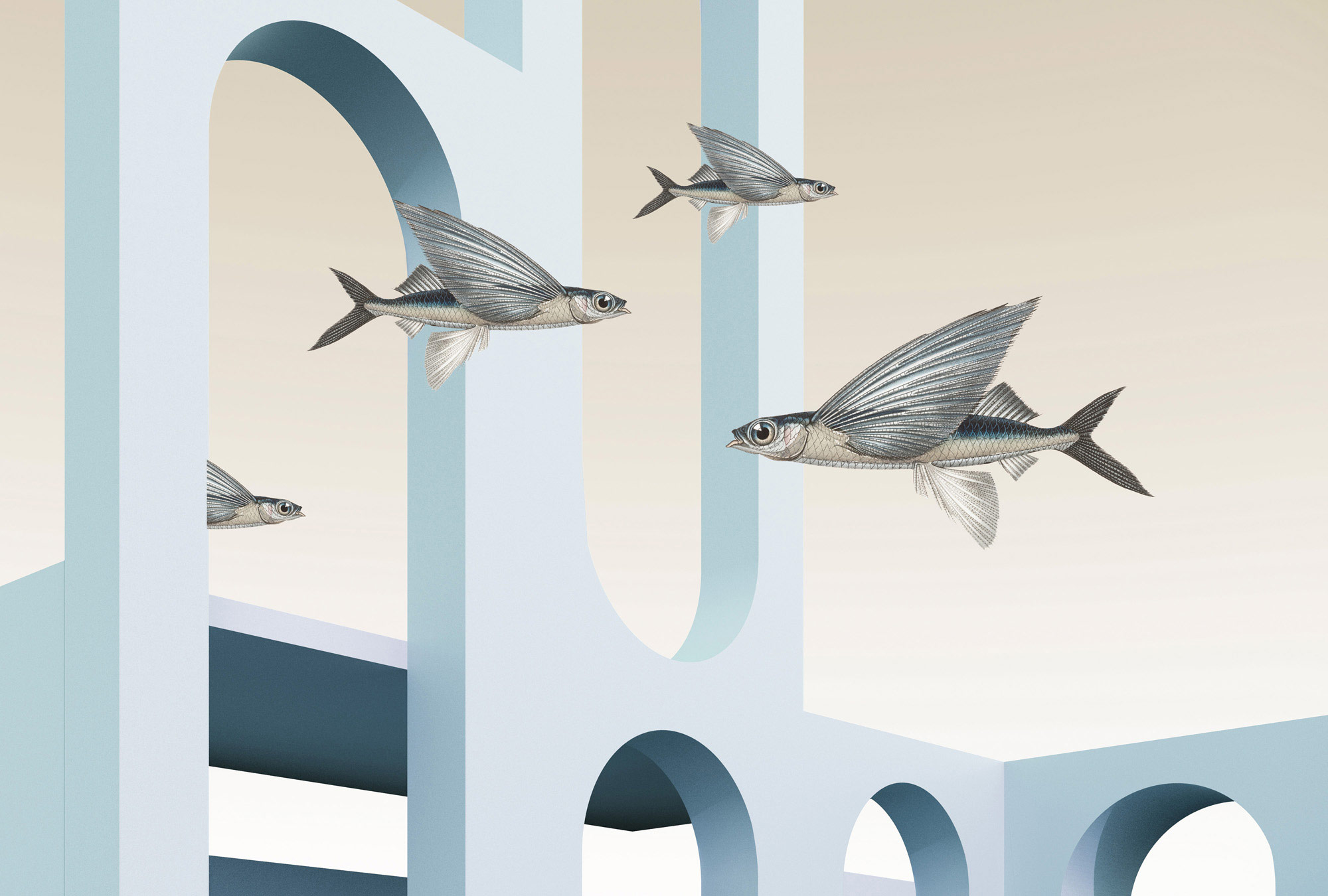 AS Fototapete Walls by Patel 4 styx Grafik DD127529