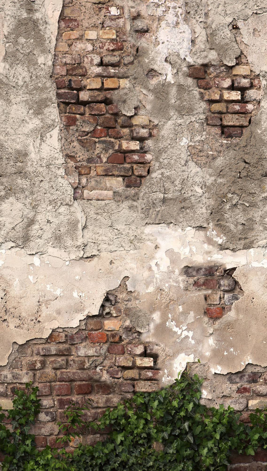 AS Fototapete The Wall 4 Efeublätter Braun 792267