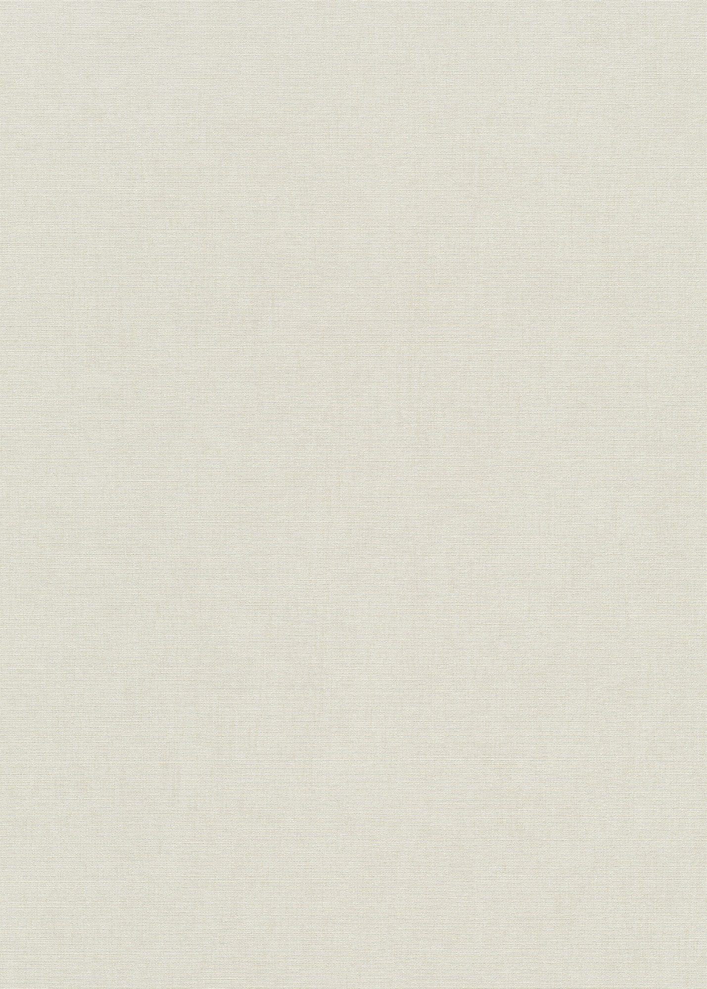 Erismann Vliestapete Aurora Unitapete 1053902