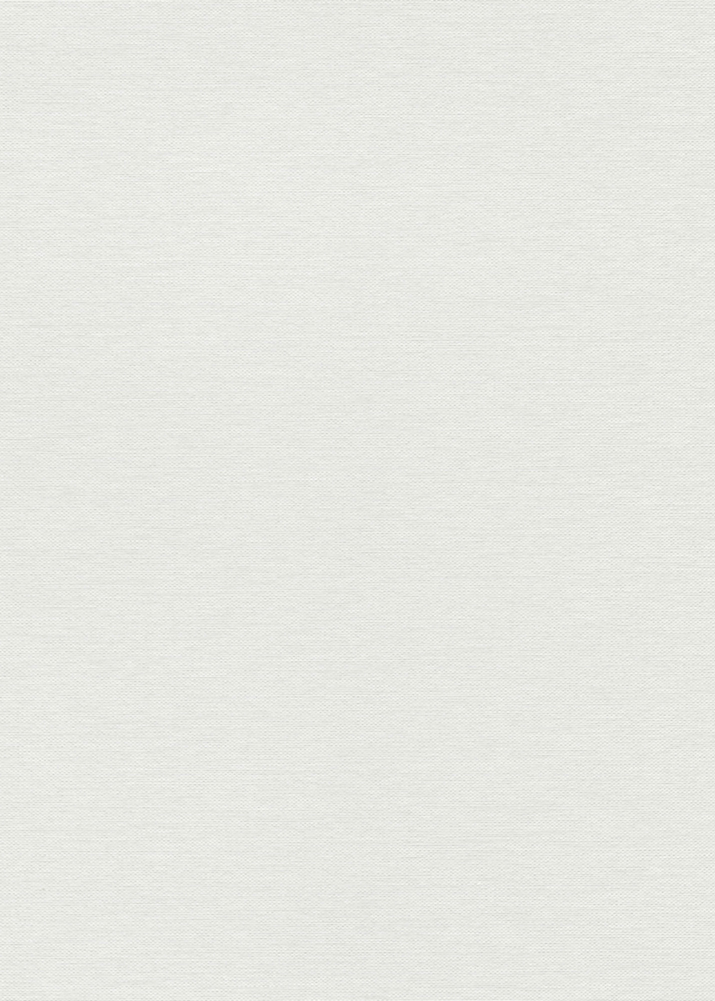 Erismann Vliestapete GMK Fashion for Walls 5 weiß 1054101