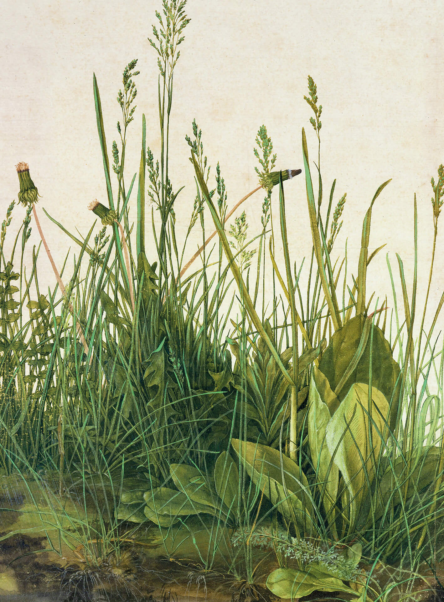 AS Fototapete Designwalls 2.0 Great Piece of Turf DD119161 AS Fototapete Designwalls 2.0 Great Piece of Turf DD119161