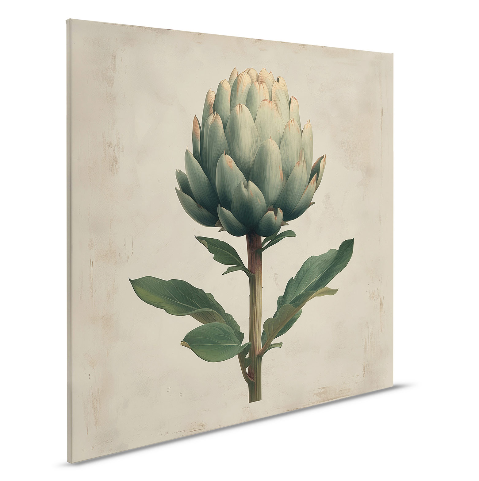 AS Leinwandbild Artischocke DD132923