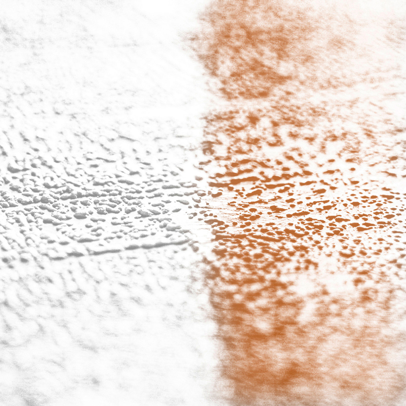 AS Vliestapete Meistervlies 8 überstreichbar 377913