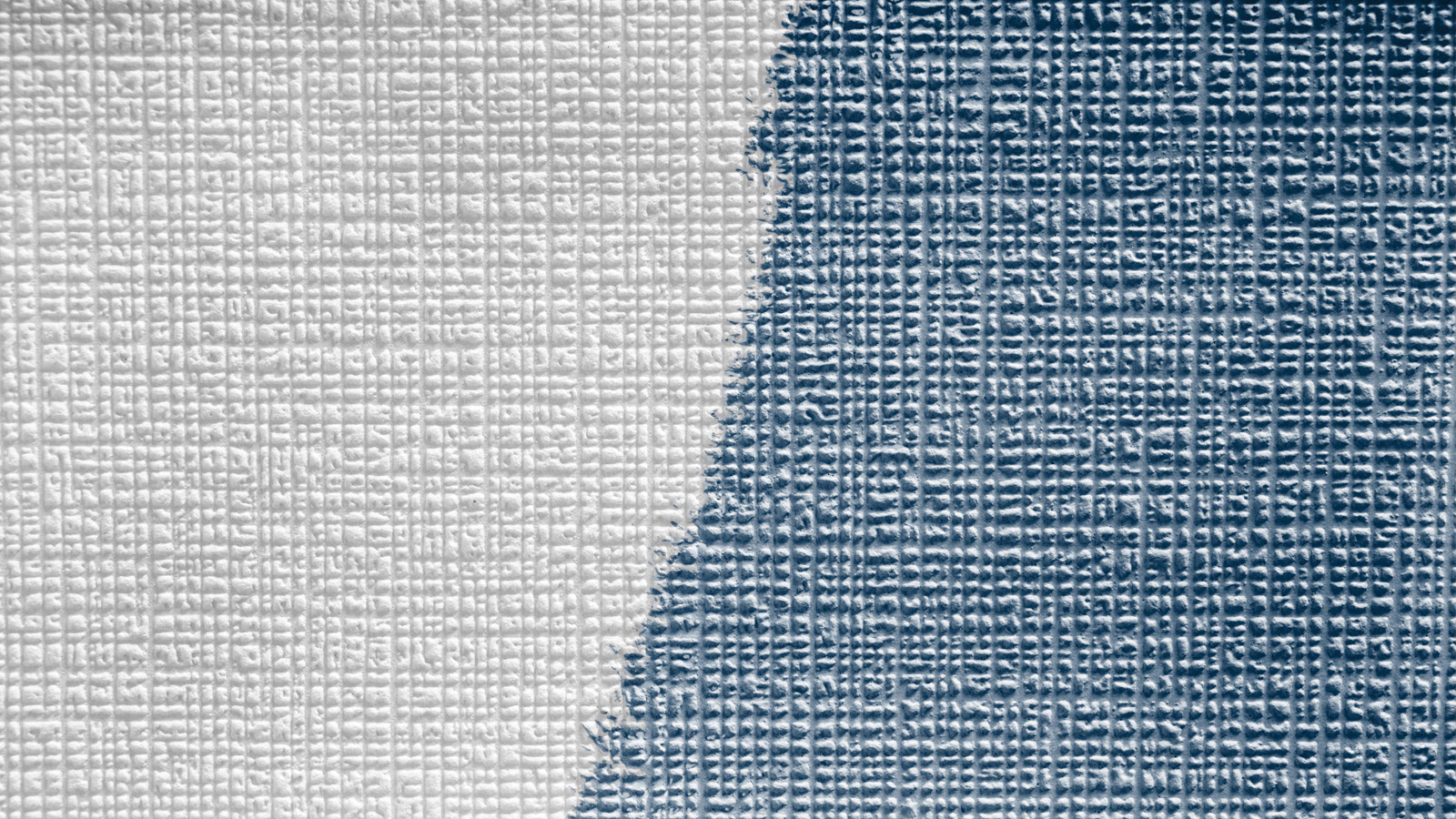 AS Vliestapete Meistervlies 8 überstreichbar 389721