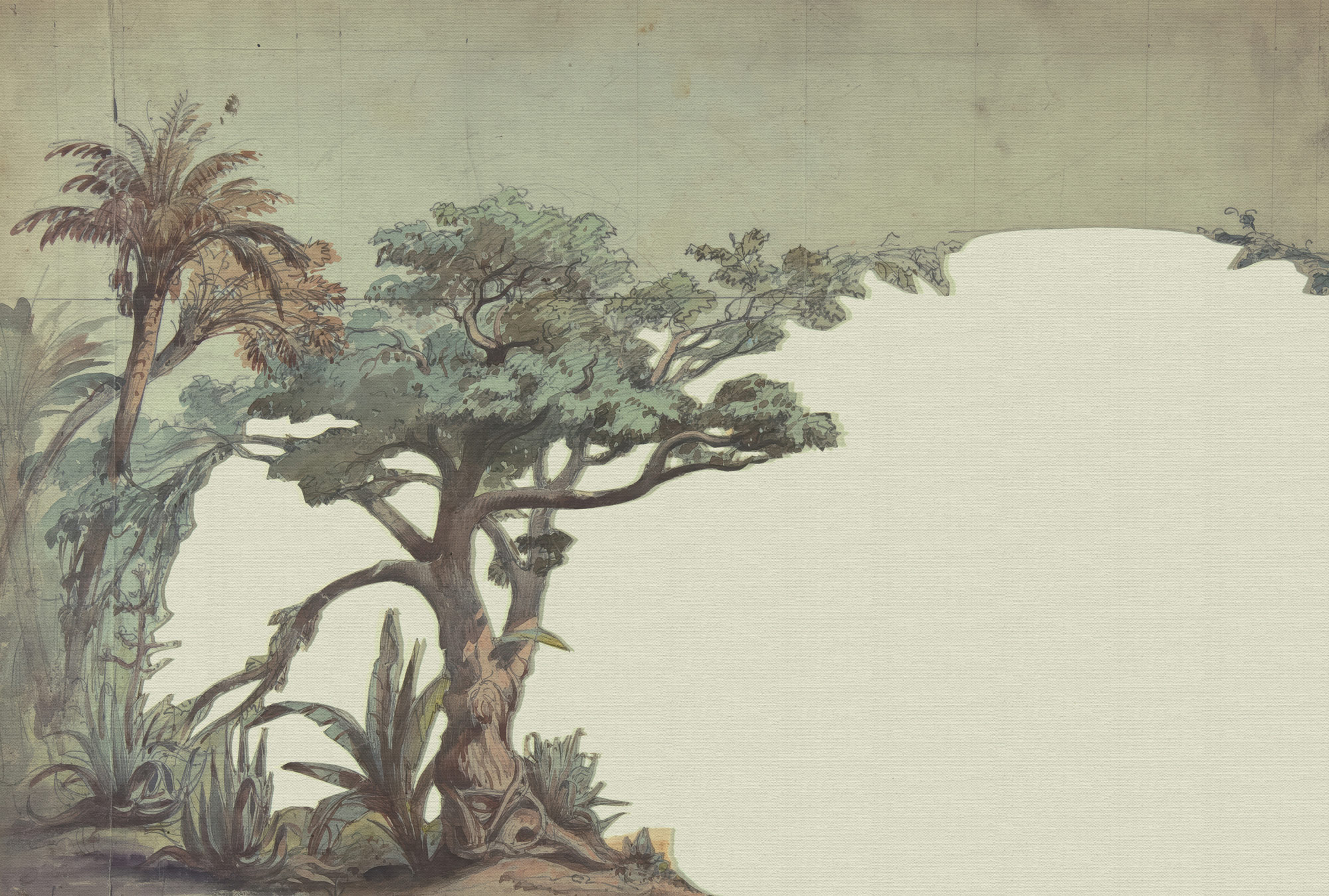 AS Fototapete Walls by Patel 5 Bäume Grün DD134429