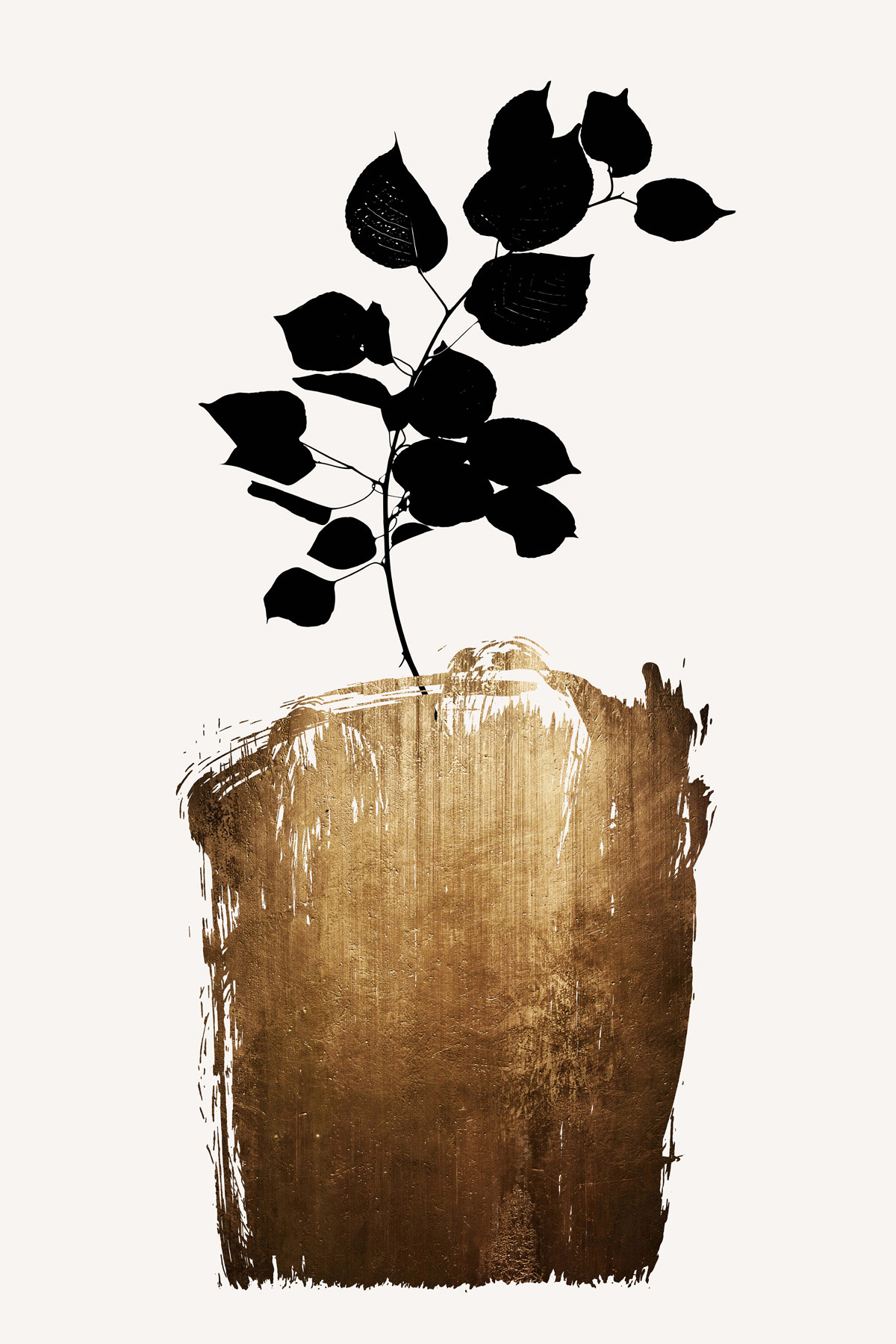 AS Leinwandbild Golden Scabiosa DD131804