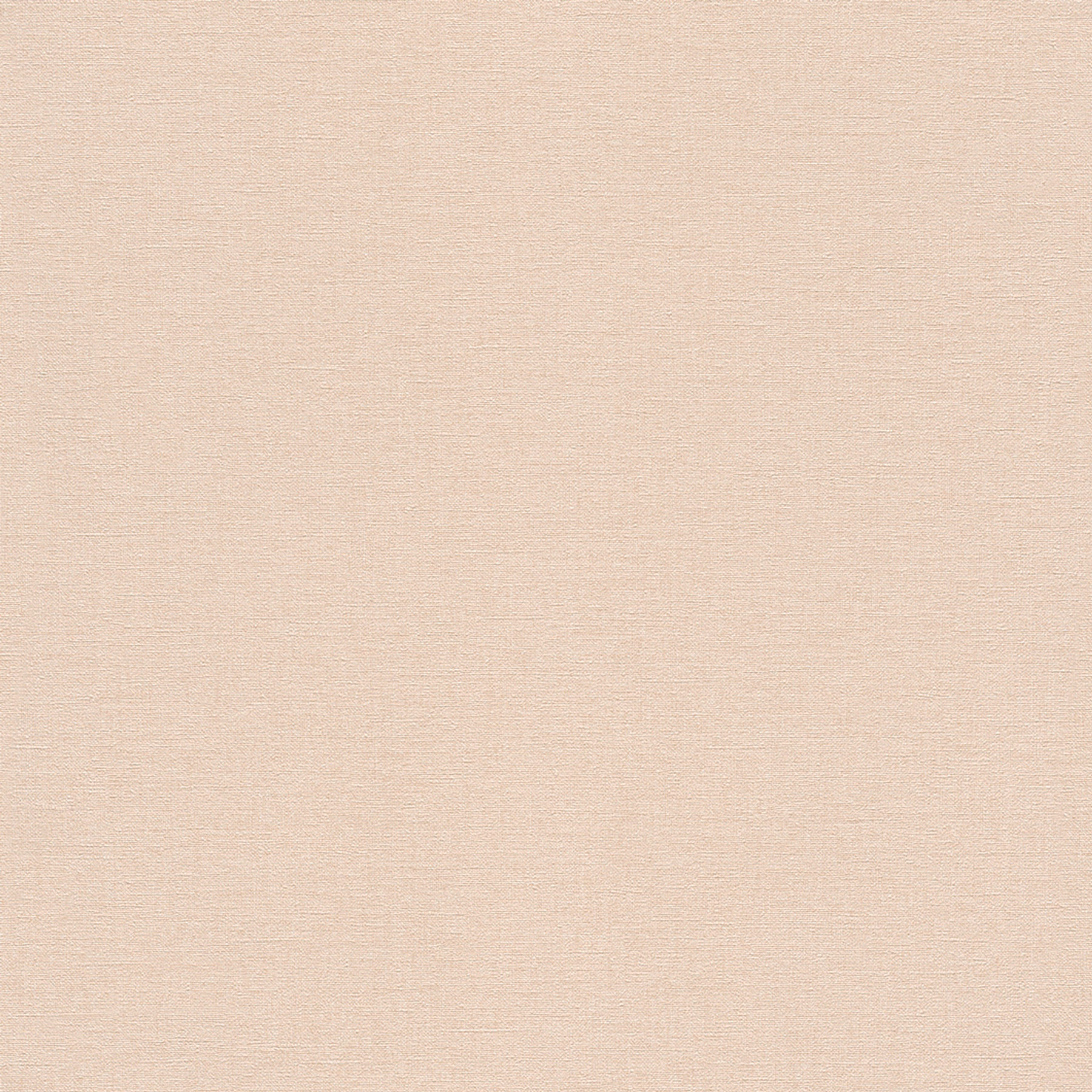 Rasch Vliestapete Country Charme Beige 448559