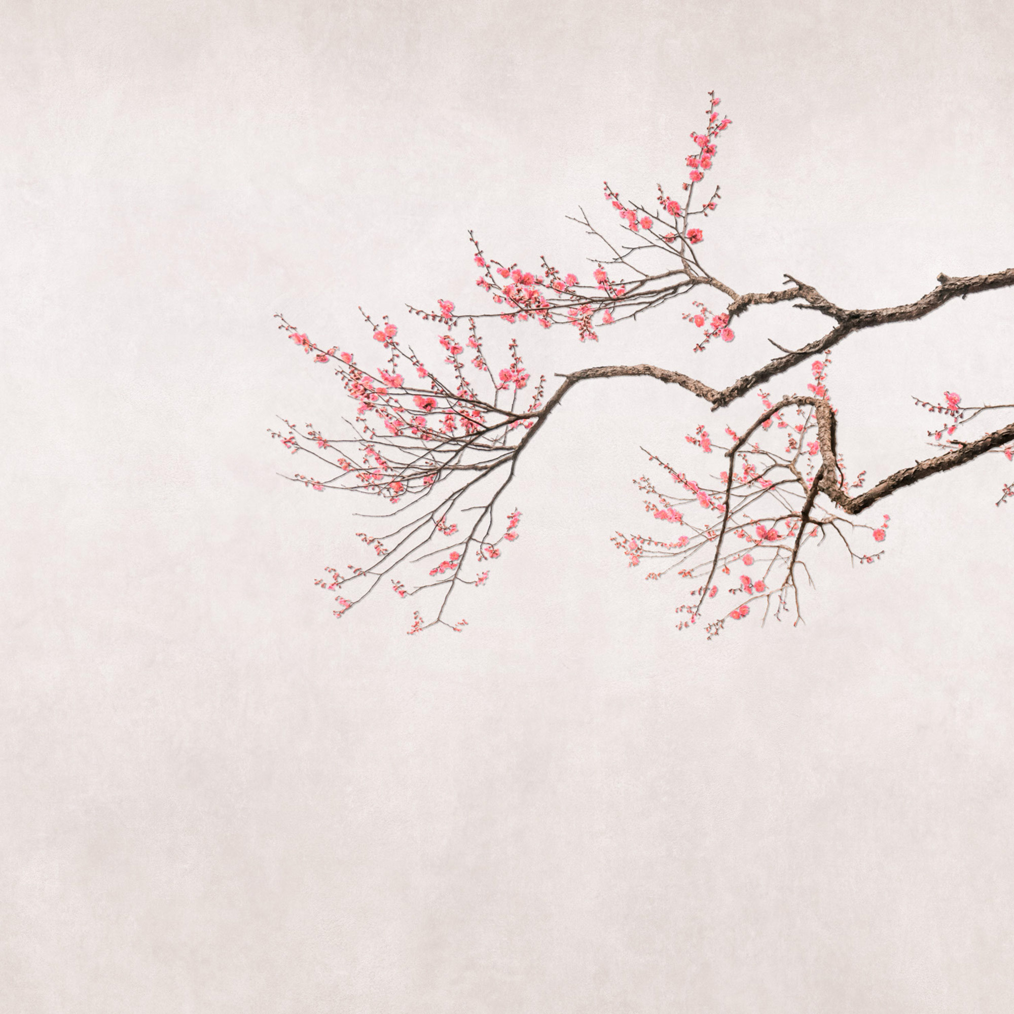 Rasch Fototapete Magic Walls Asien 361070