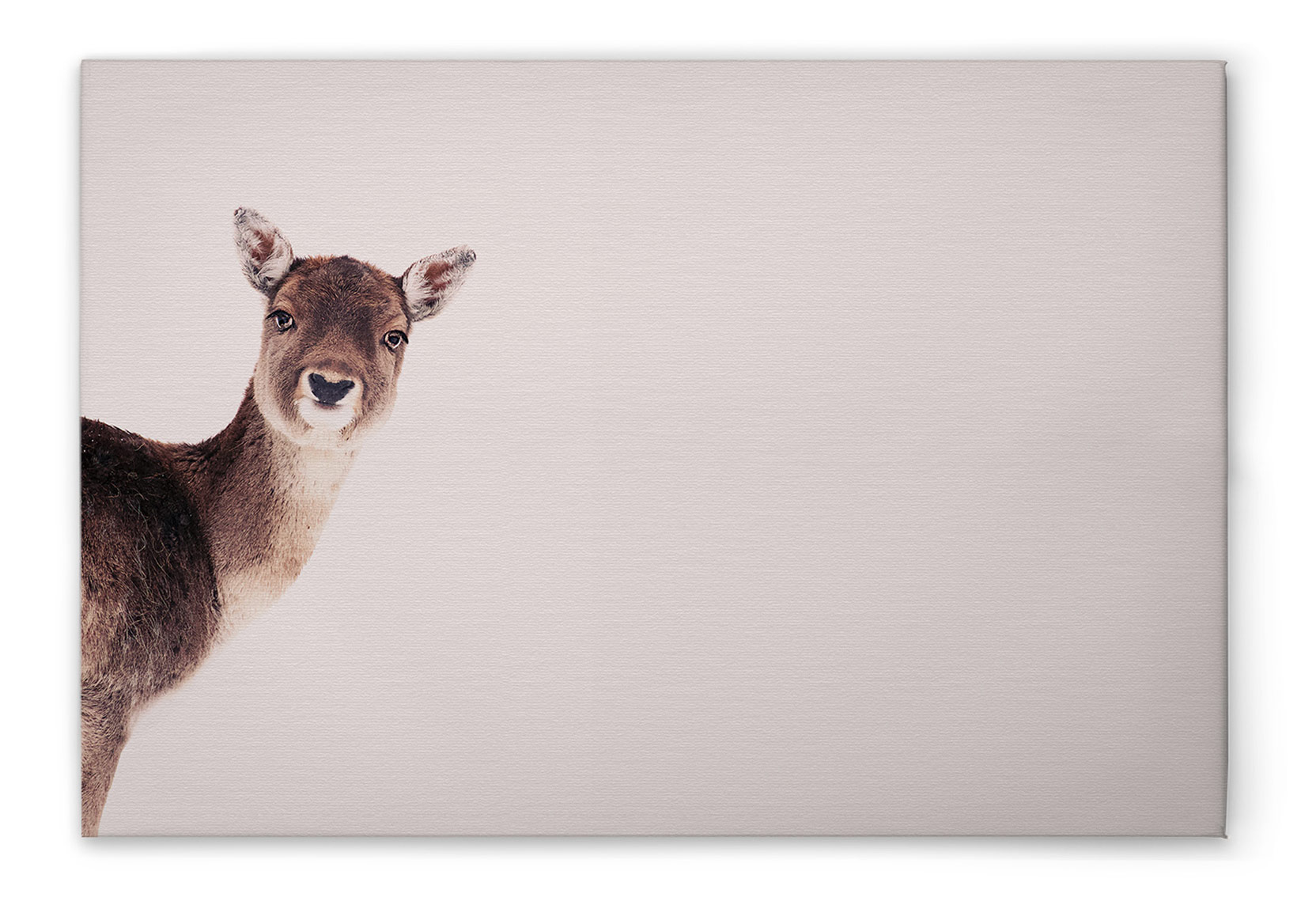 AS Leinwandbild Deer Rose DD132258