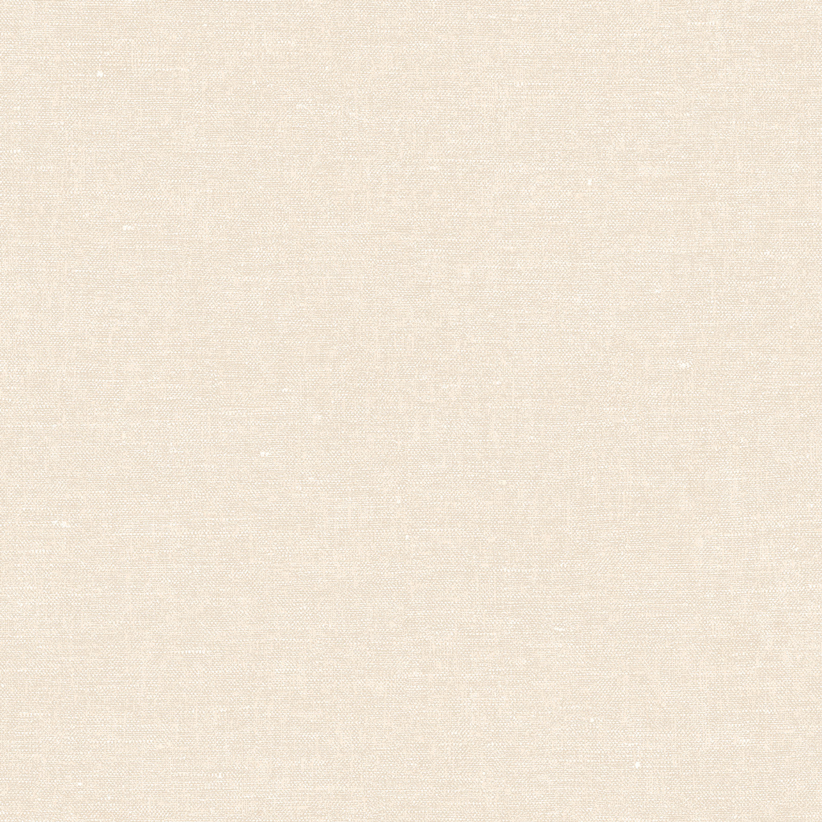 Decoprint Vliestapete Terra Nova Hemp Plain TN29001