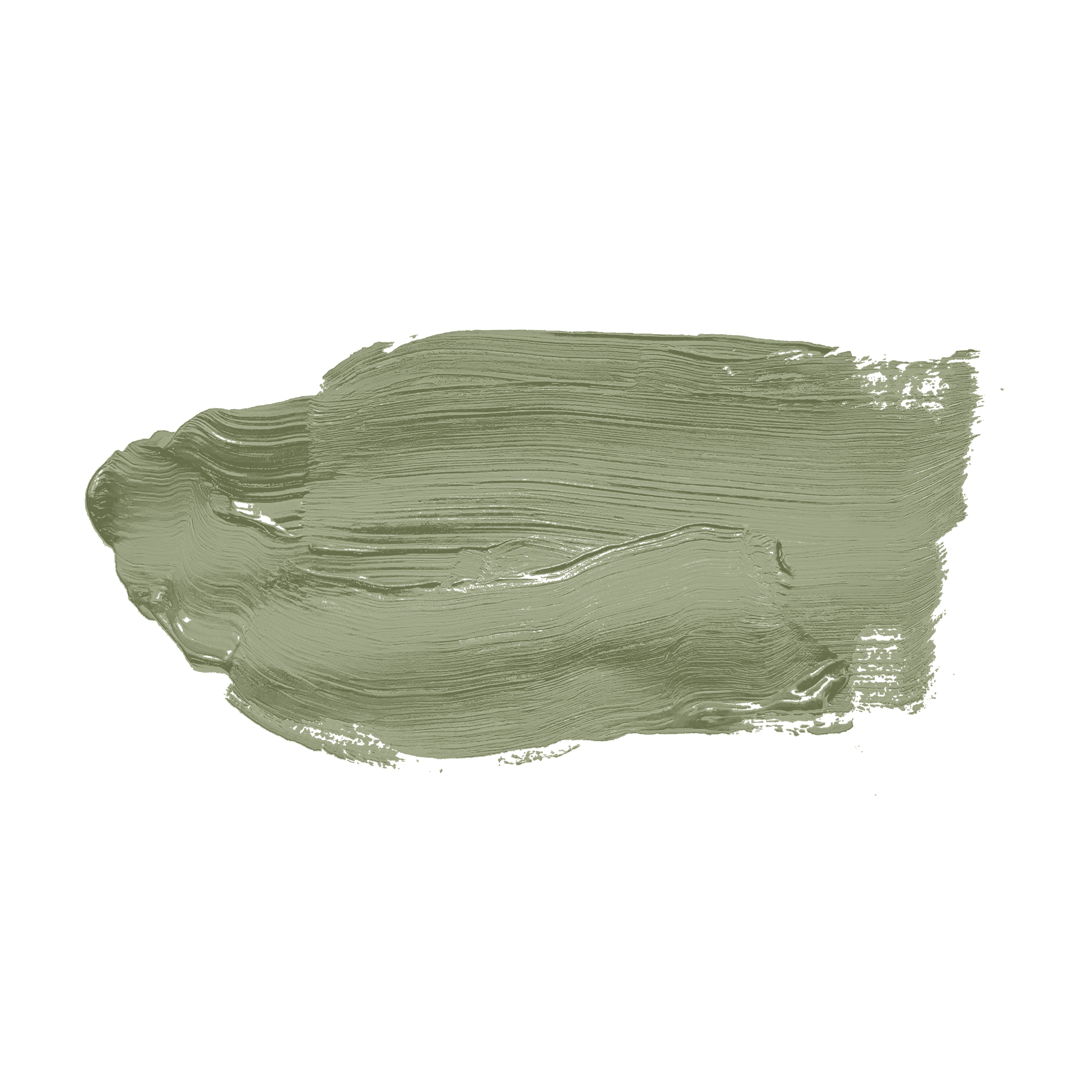 AS Wandfarbe The Color Kitchen TCK4002 Balmy Basil 2,5 L