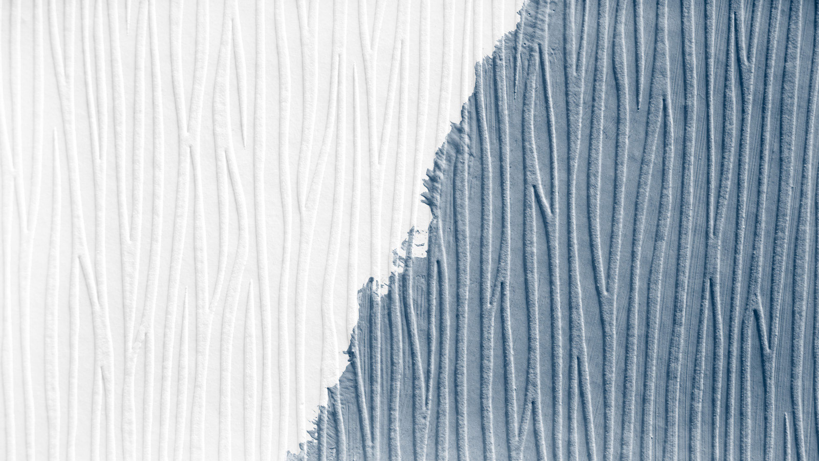 AS Vliestapete Meistervlies 8 überstreichbar 243911