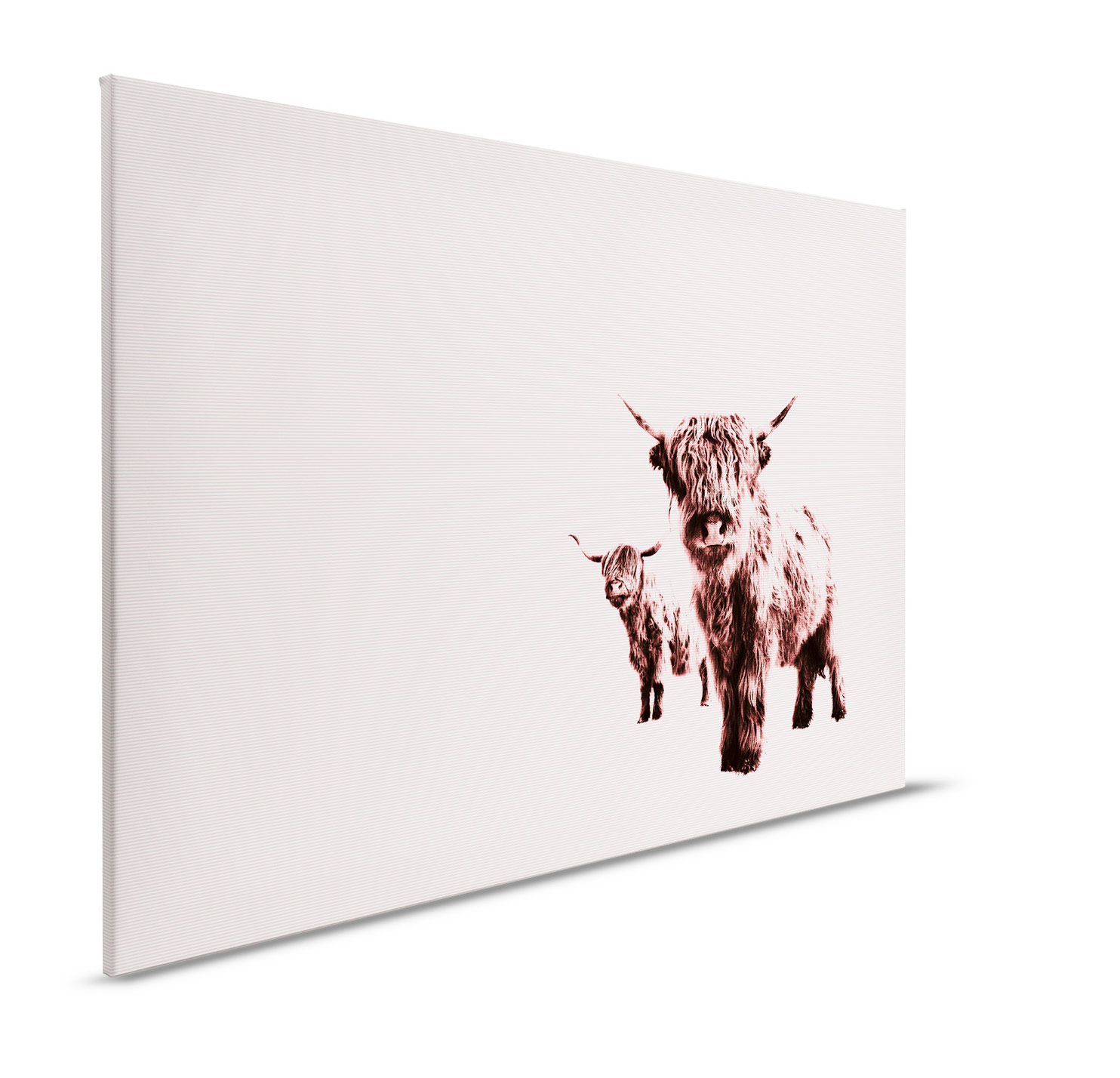 AS Leinwandbild Highland Cows DD132243