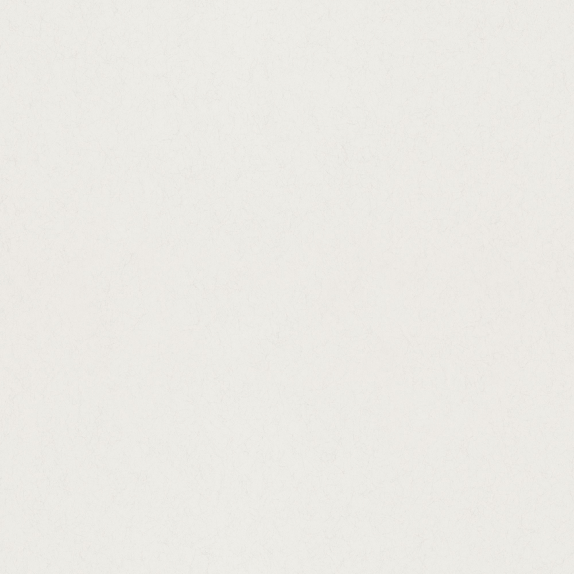 Rasch Textil Vliestapete Fagelsang Uni matt 077019 Rasch Textil Vliestapete Fagelsang Uni matt 077019