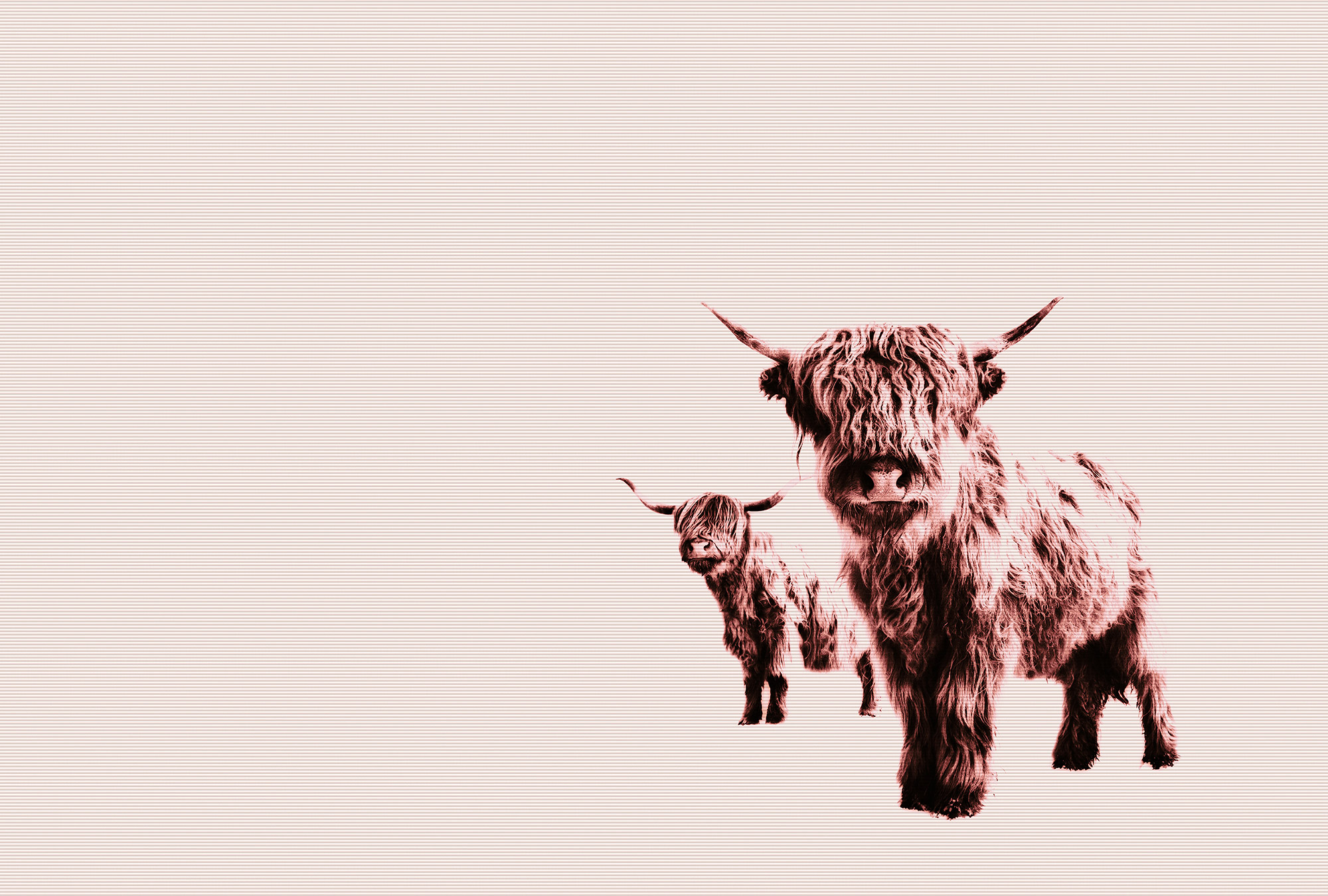 AS Fototapete ARTist Tiere DD119829 AS Fototapete ARTist Tiere DD119829