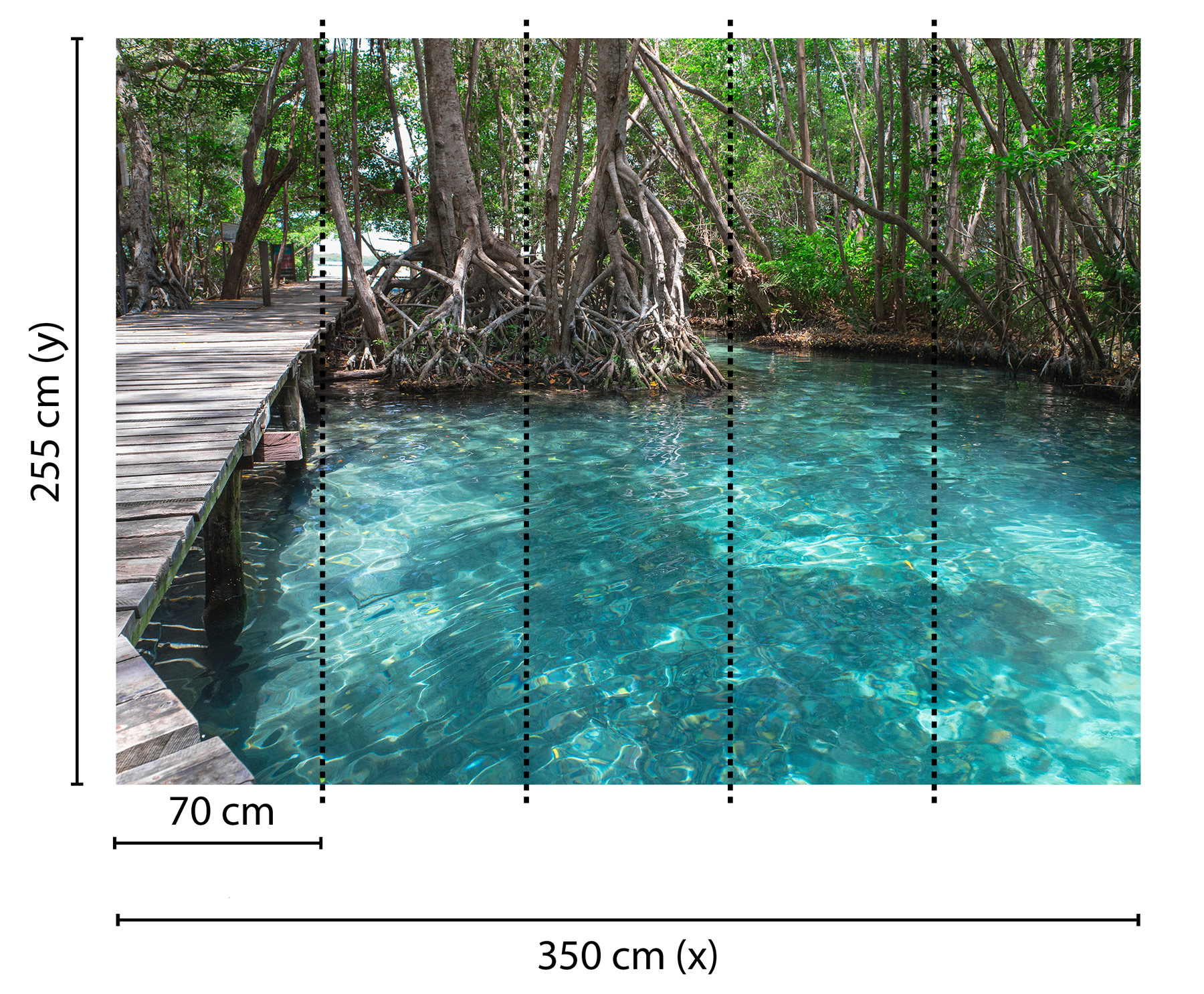 AS Fototapete Designwalls DschunglePath DD118638