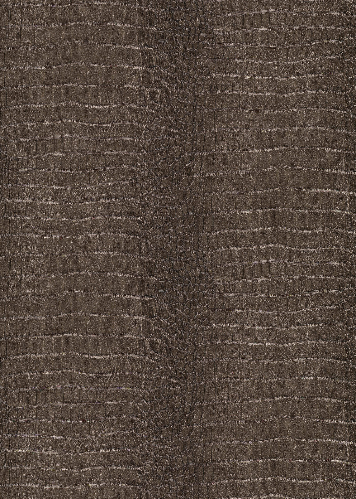 Erismann Vliestapete Forest Dreams braun 1056011