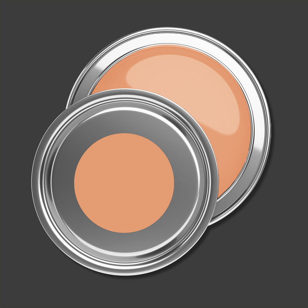 AS Premium Innenwandfarbe Puro c9002 dusty orange 1 L