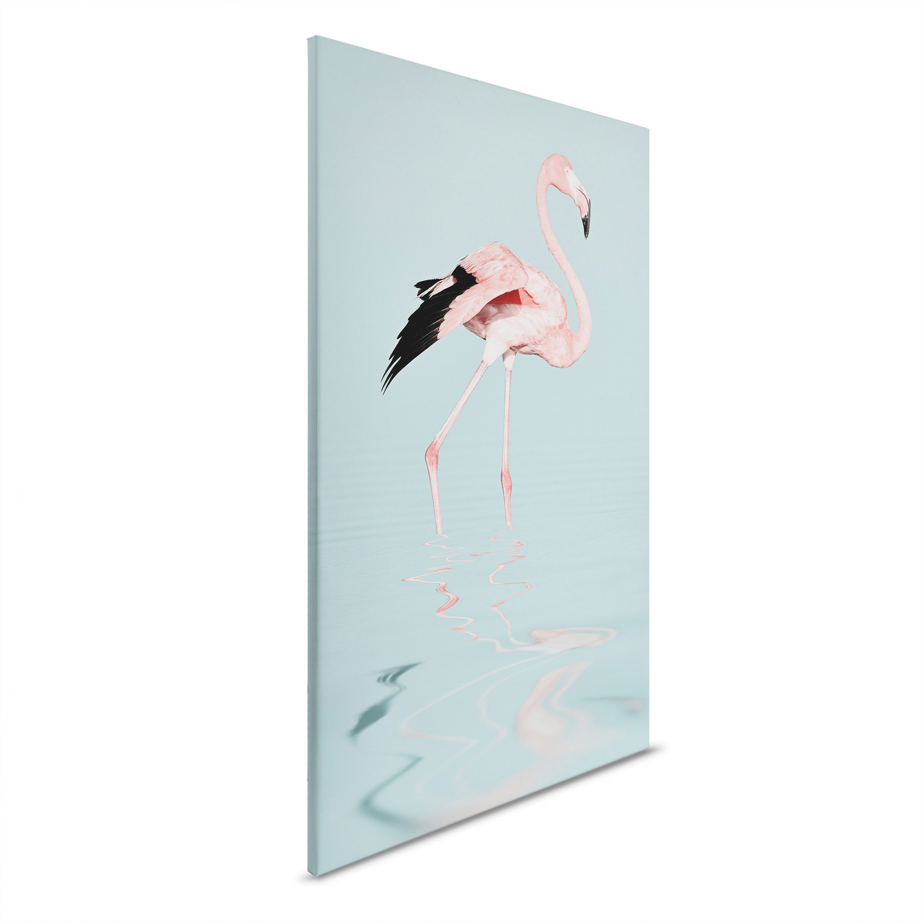 AS Leinwandbild Flamingo Water DD132168