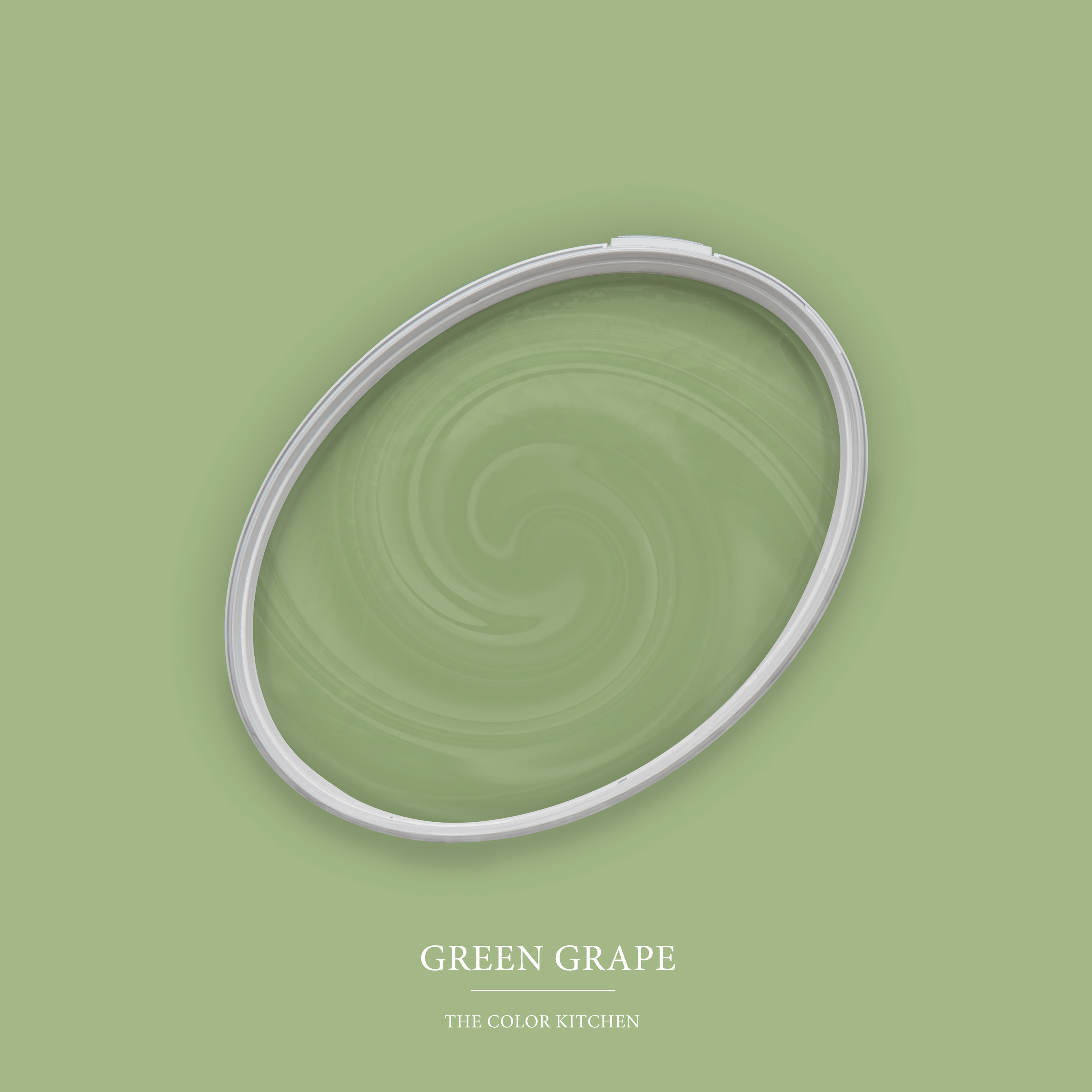 AS Wandfarbe The Color Kitchen TCK4008 Green Grape