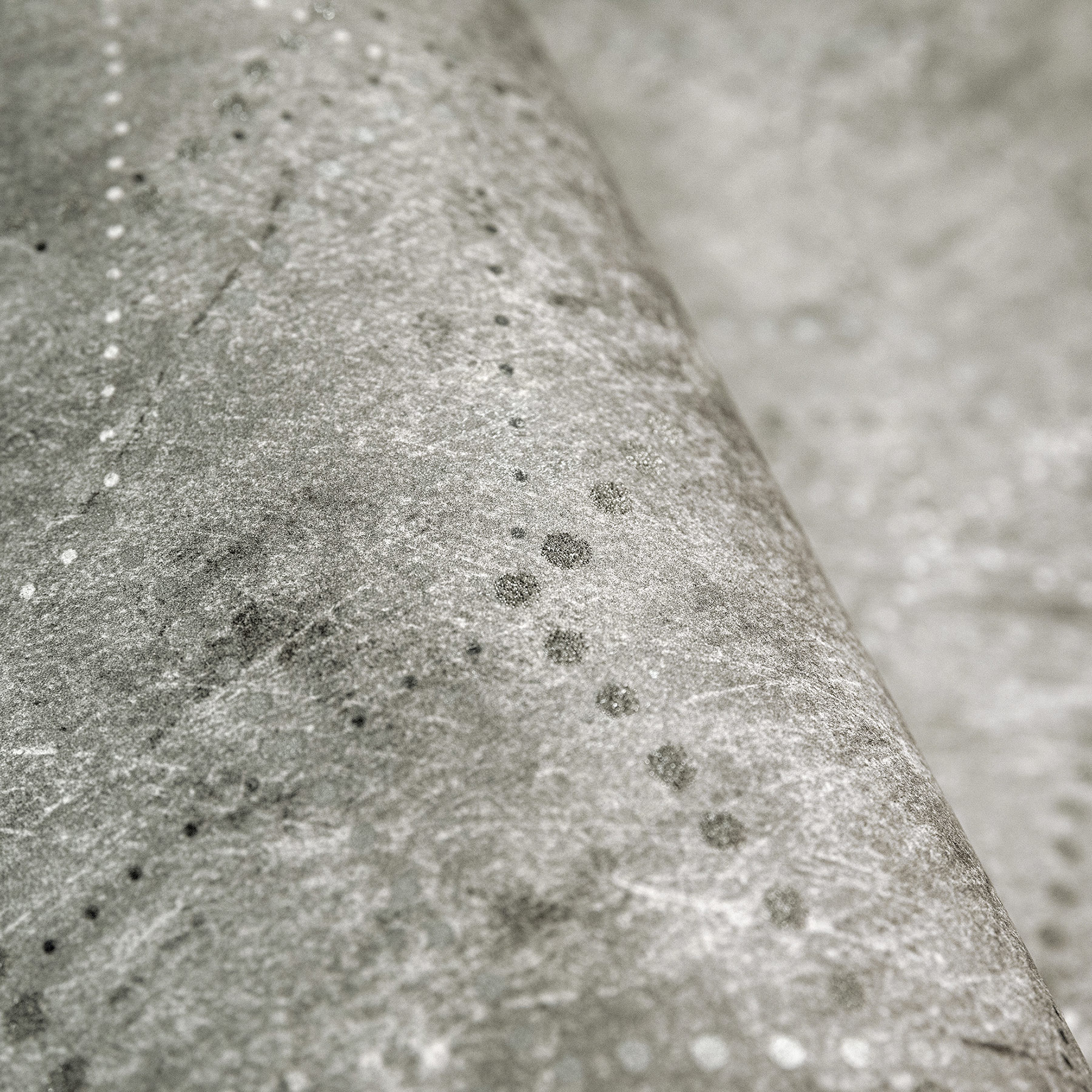 Hohenberger Vliestapete Perle Divino Luna Anthracite 81317