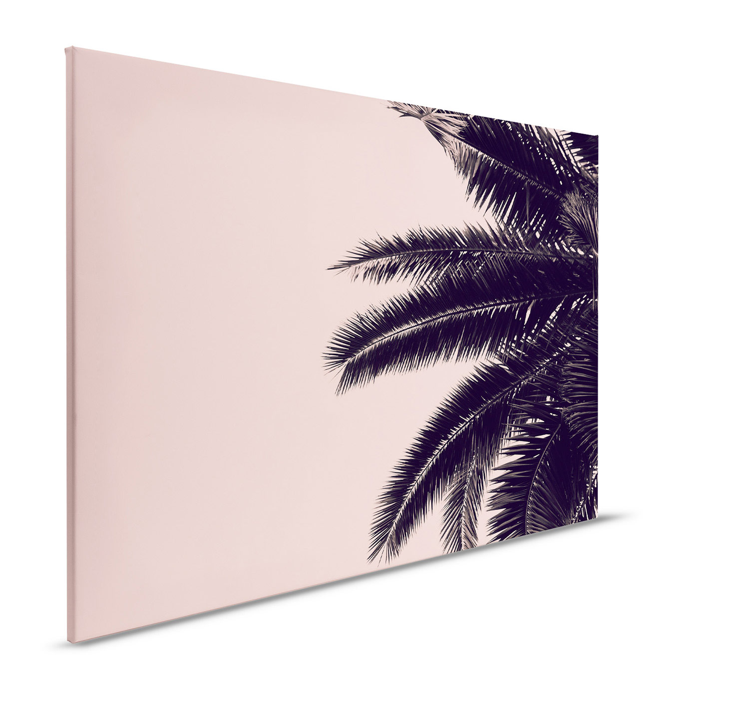 AS Leinwandbild Palm Tree DD132263