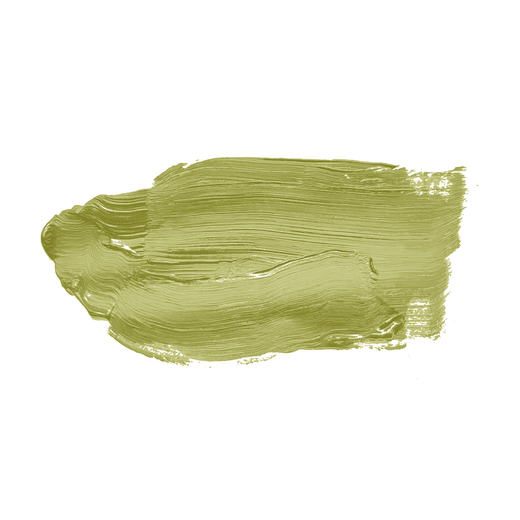 AS Wandfarbe The Color Kitchen TCK4009 Kitchy Kiwi 2,5 L