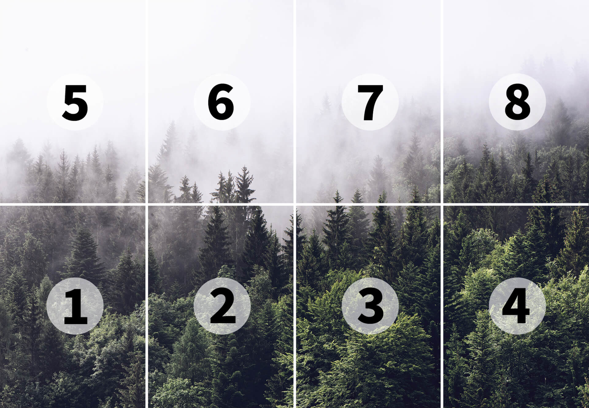 AS Fototapete Designwalls 2.0 Nebliger Wald DD118852