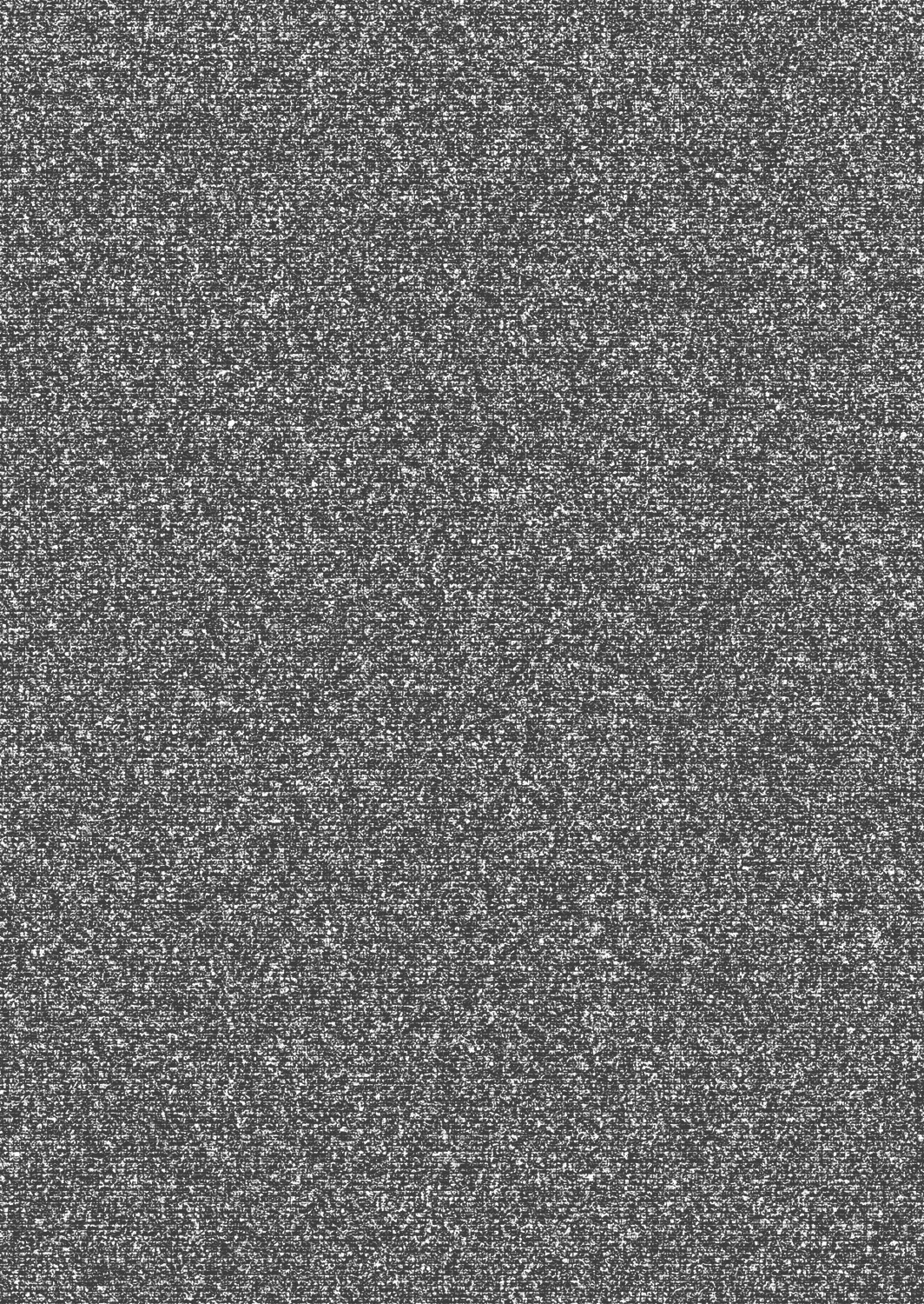 Thomas Vliestapete Details TDE1208