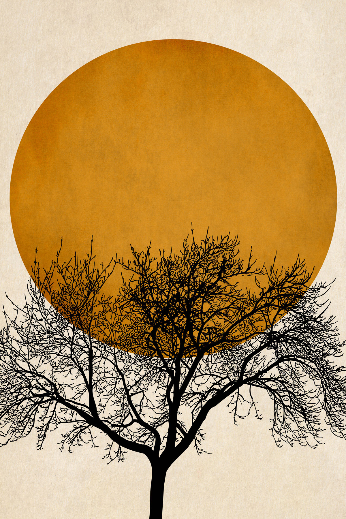 AS Leinwandbild Wintermorgen DD131777