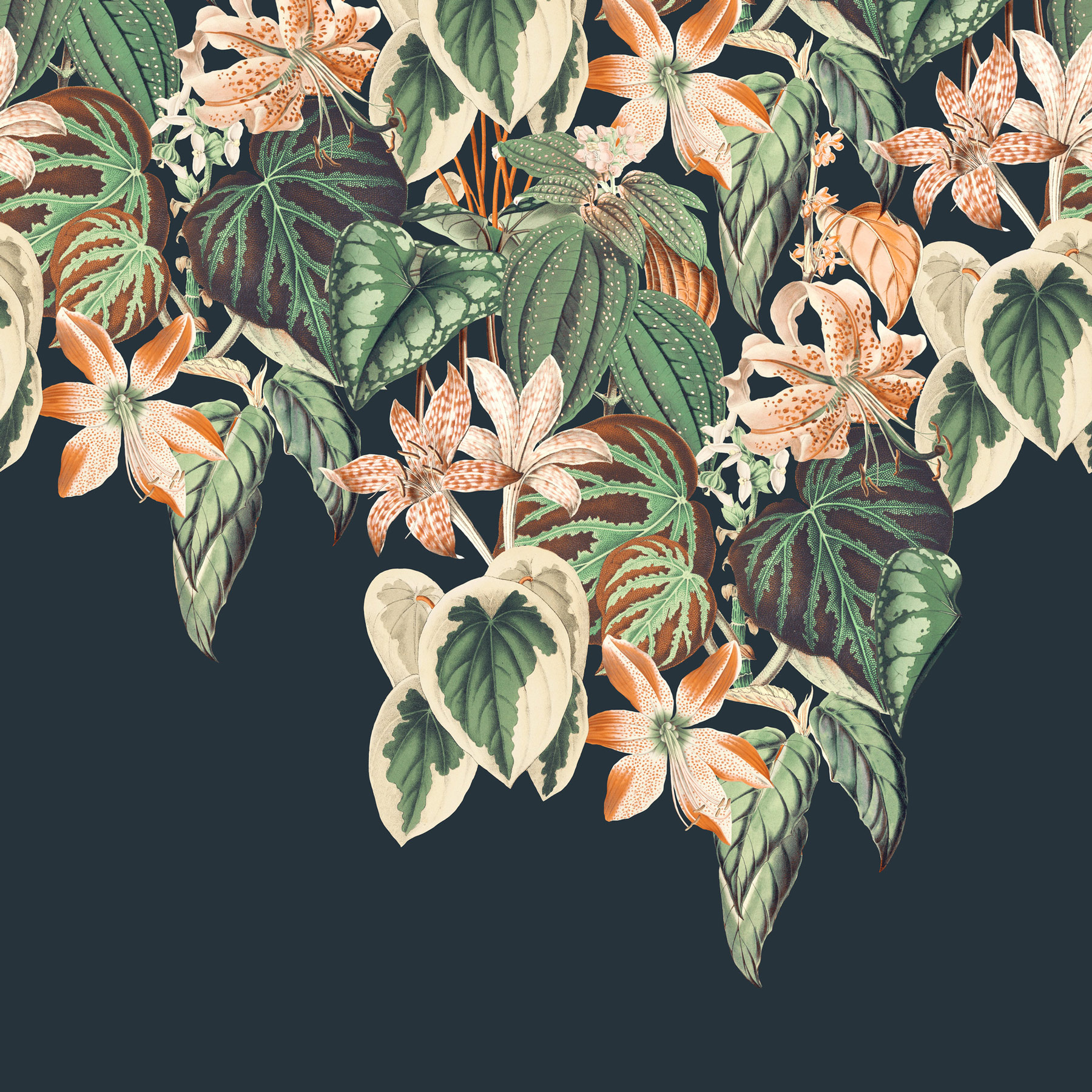 Rasch Fototapete Magic Walls Blätter 590043