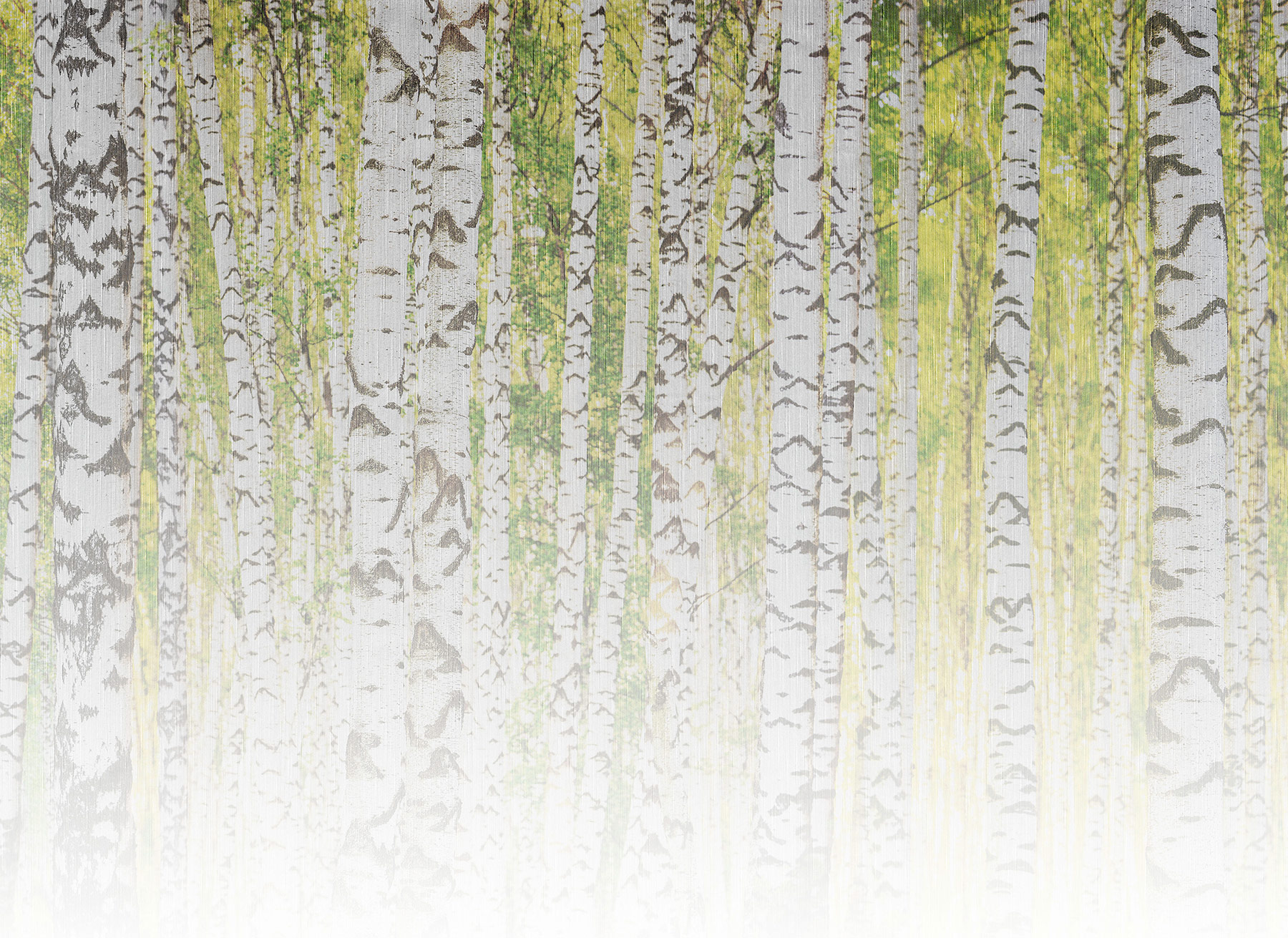 AS Fototapete Designwalls 2 Birkenwald  Natur DD123528