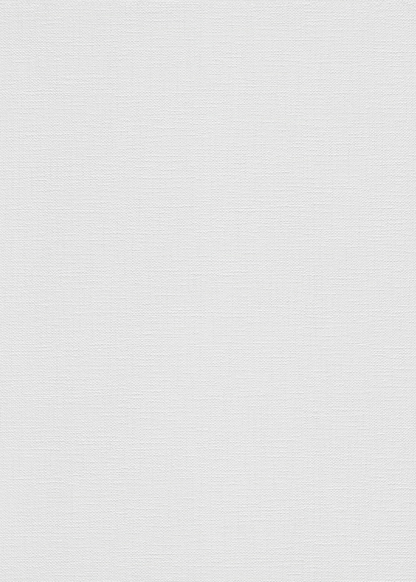 Erismann Vliestapete Opus hellgrau 1046331