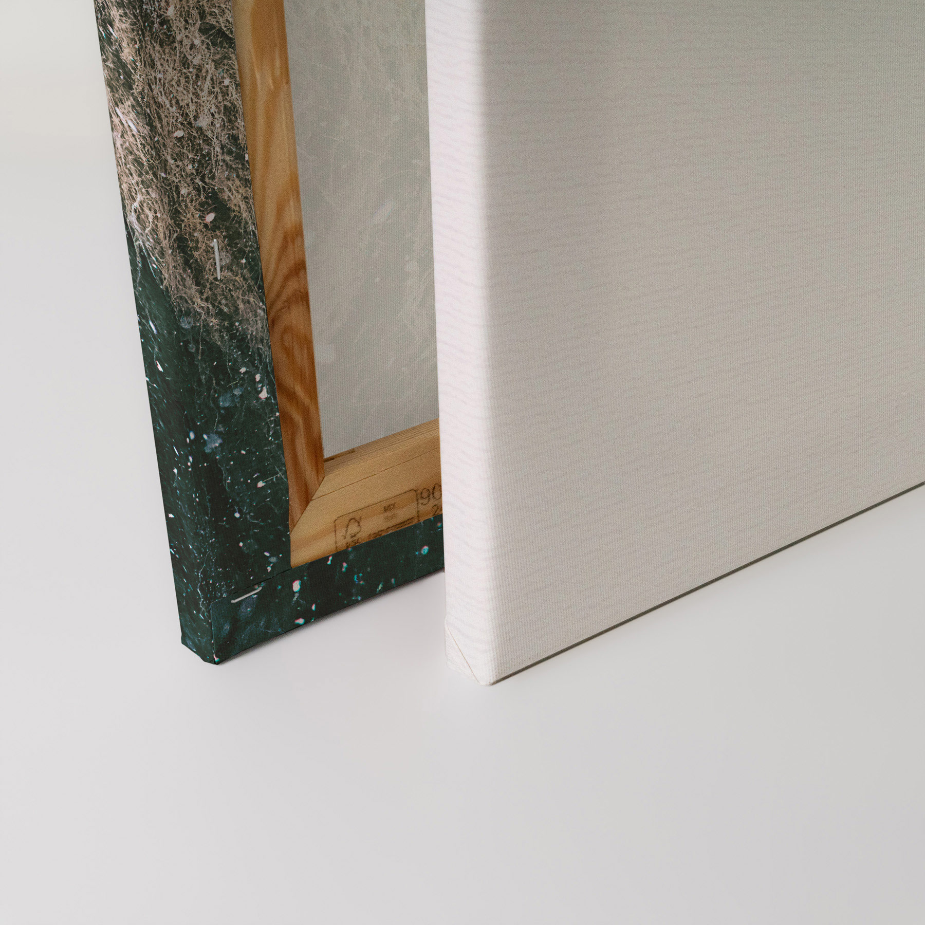 AS Leinwandbild Lion In Snow DD132188