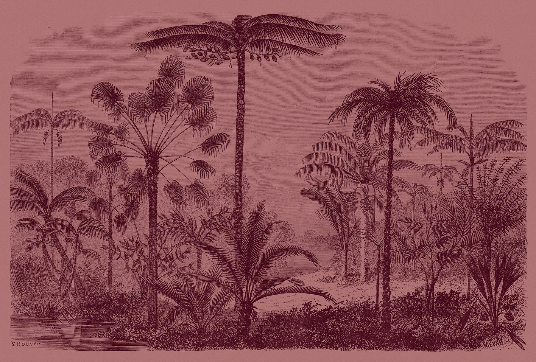 AS Fototapete Walls by Patel 2 Dschungel DD113692 AS Fototapete Walls by Patel 2 Dschungel DD113692