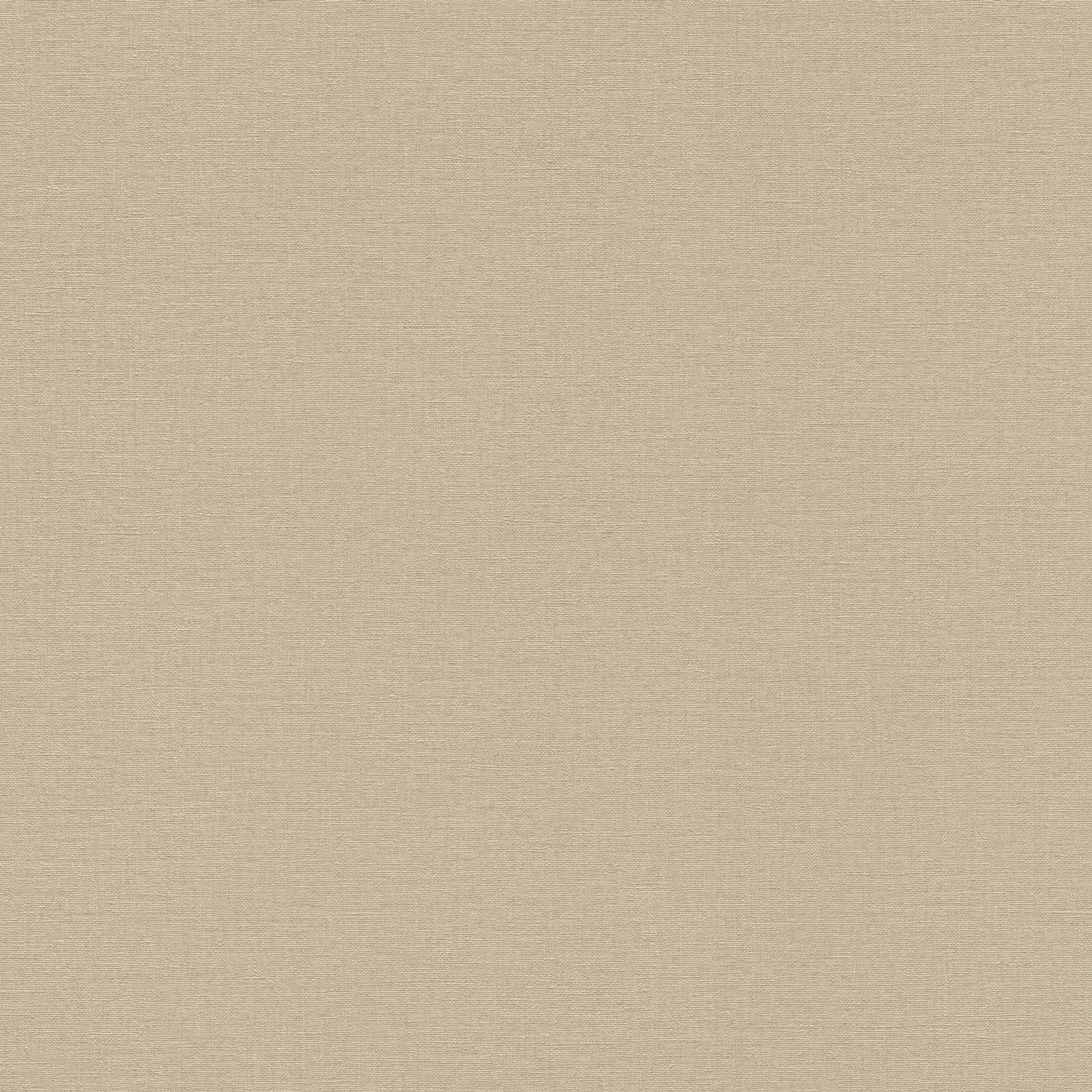 Rasch Vliestapete Country Charme Braun-hellbraun 449815