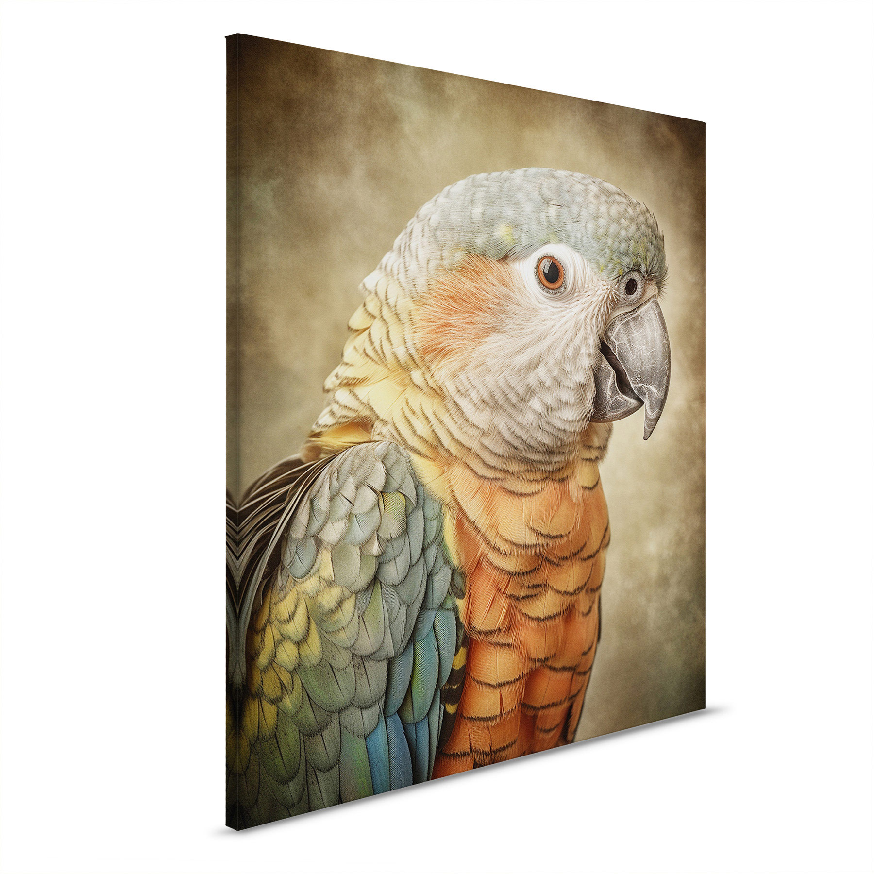 AS Leinwandbild Fantasy Parrot Orange DD133347