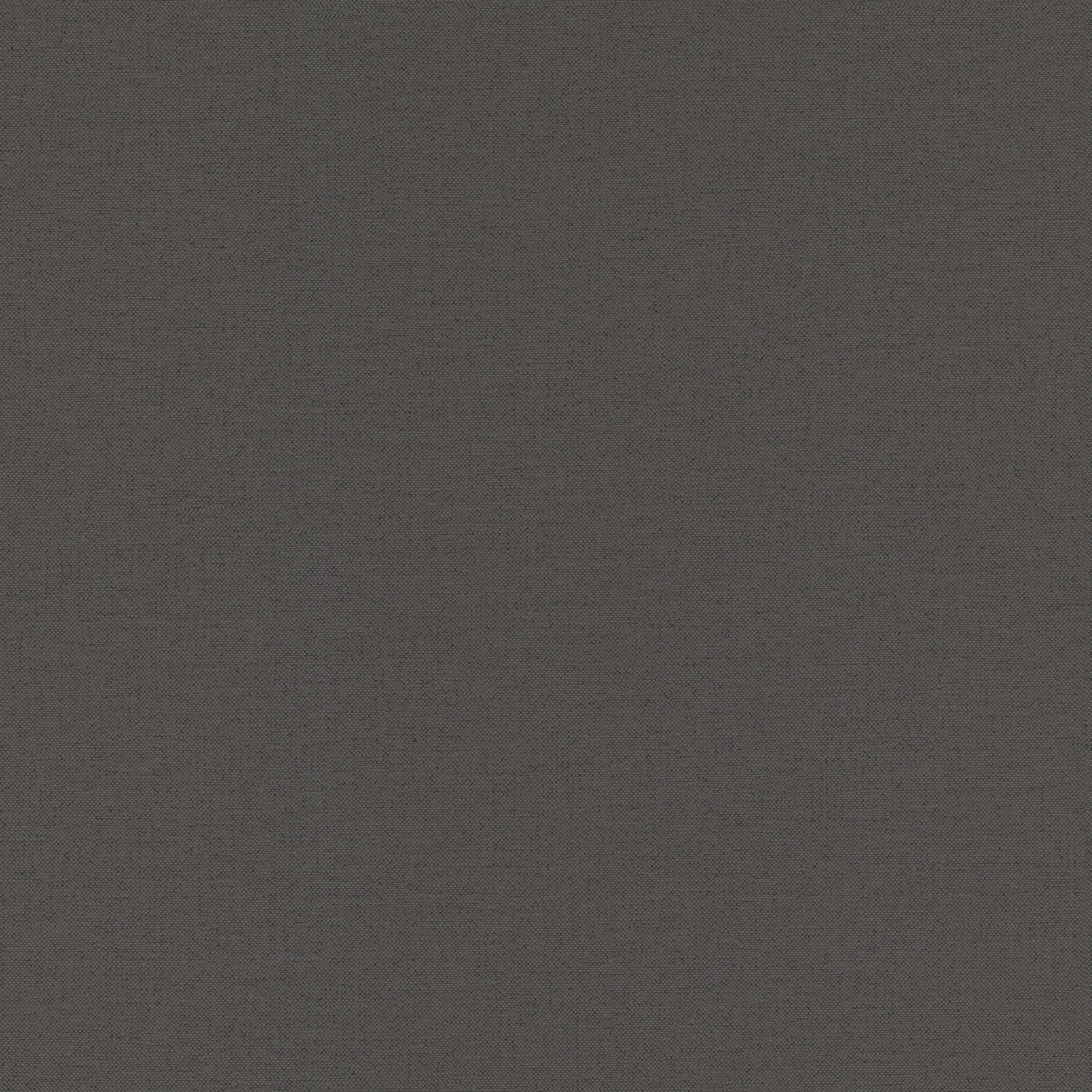 Emil & Hugo Vliestapete Sakura Leinenuni 295695