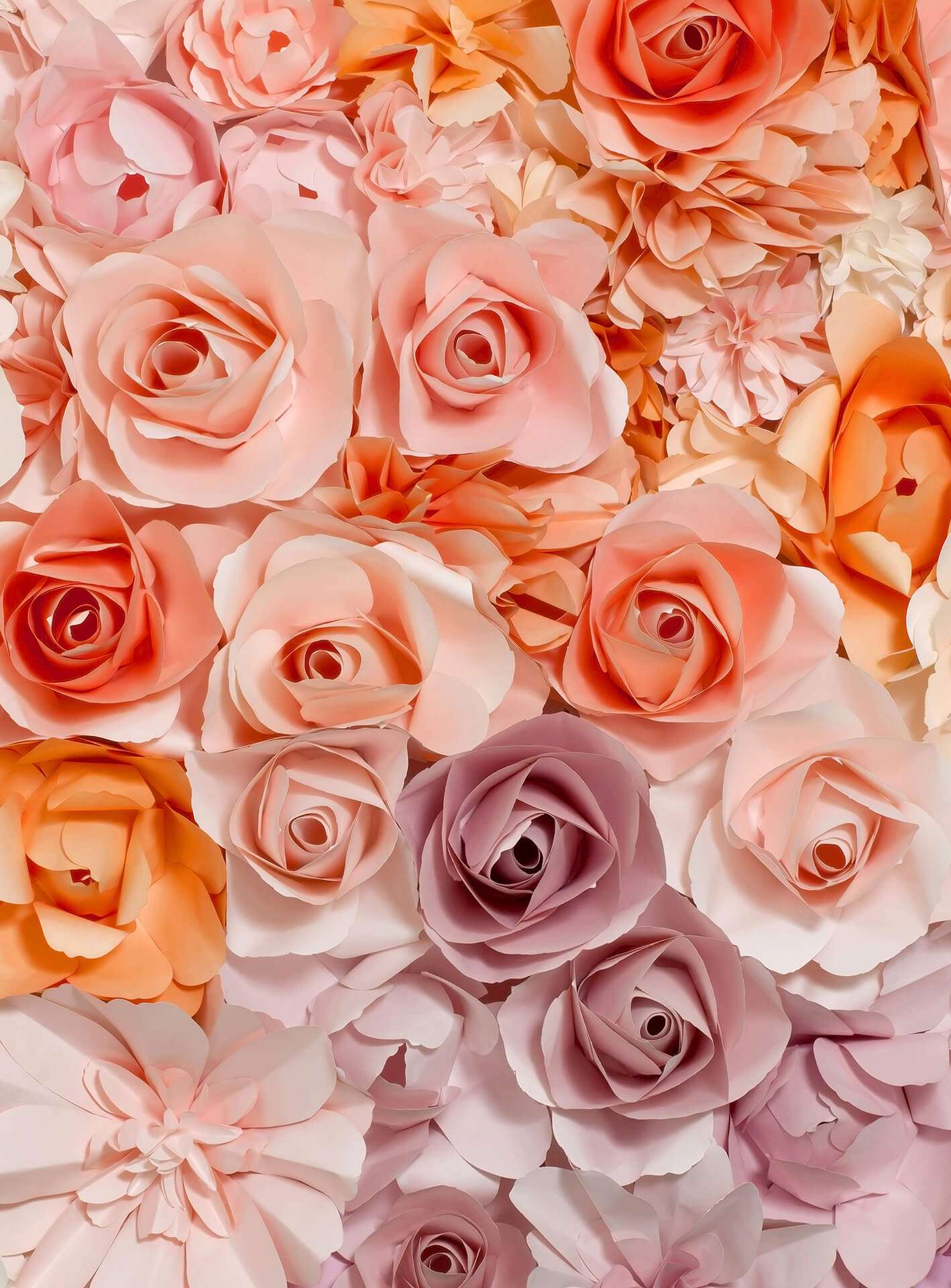 AS Fototapete Designwalls 2.0 Flowers Blumen DD119103