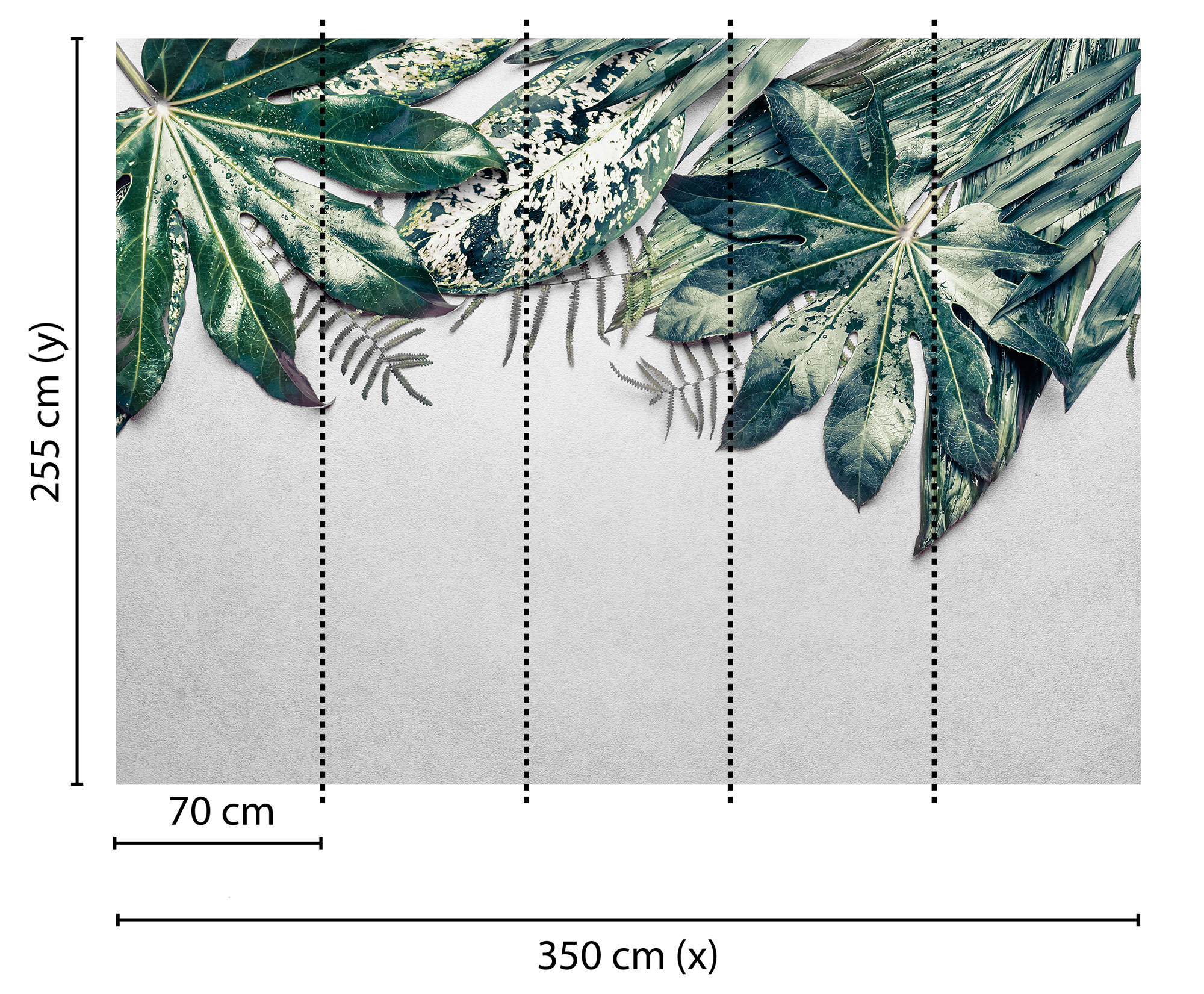 AS Fototapete Designwalls Leaves Variety Blätter DD118550