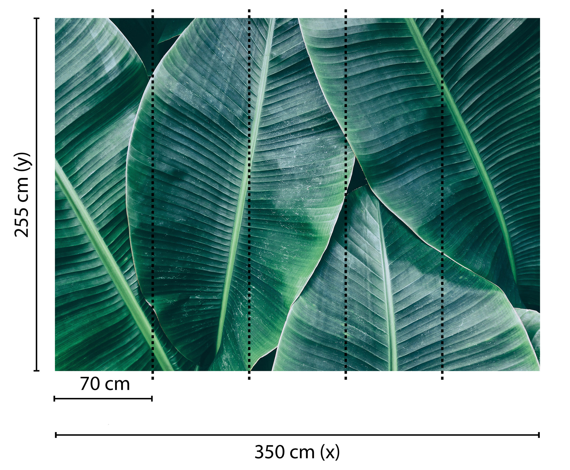 AS Fototapete Designwalls BananaLeaves DD118560