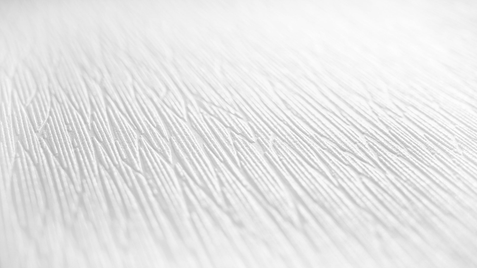 AS Vliestapete Meistervlies 8 überstreichbar 390004