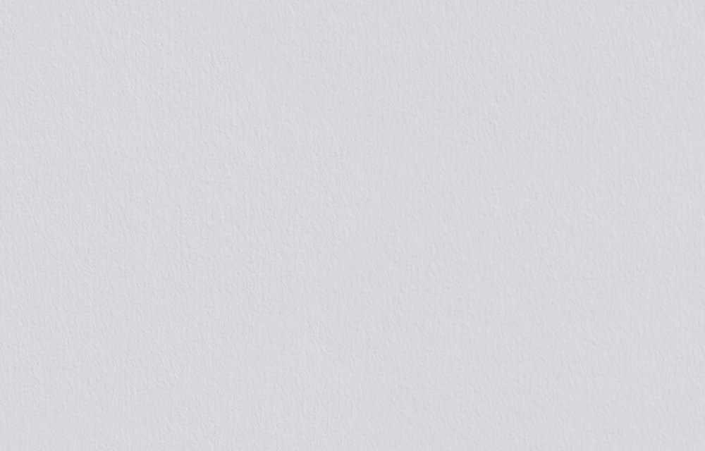 Erfurt Glattvlies Variovlies Flat Premium | Karton (4 Rollen